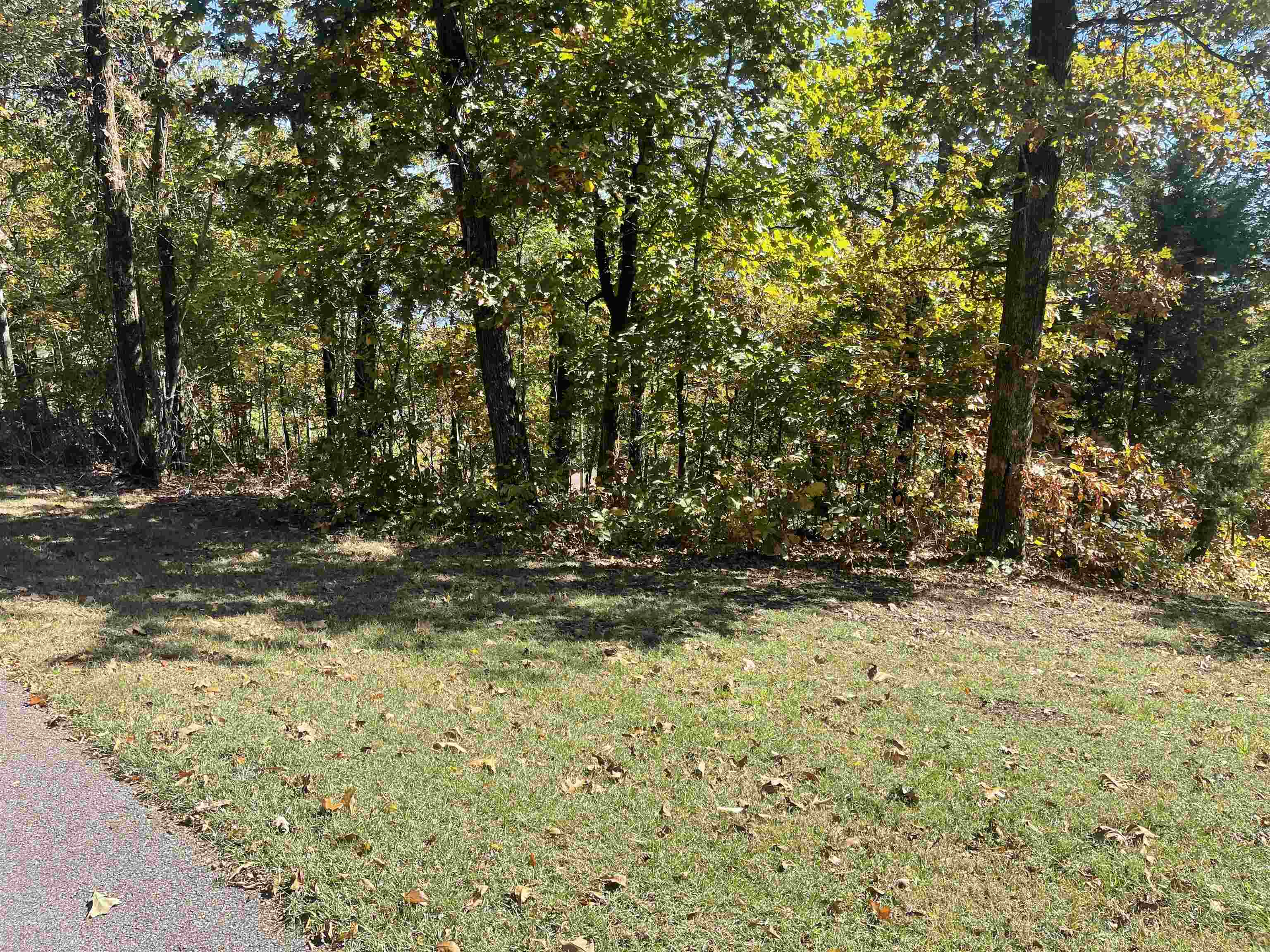 87 Cr 262 Rd Property Photo 3