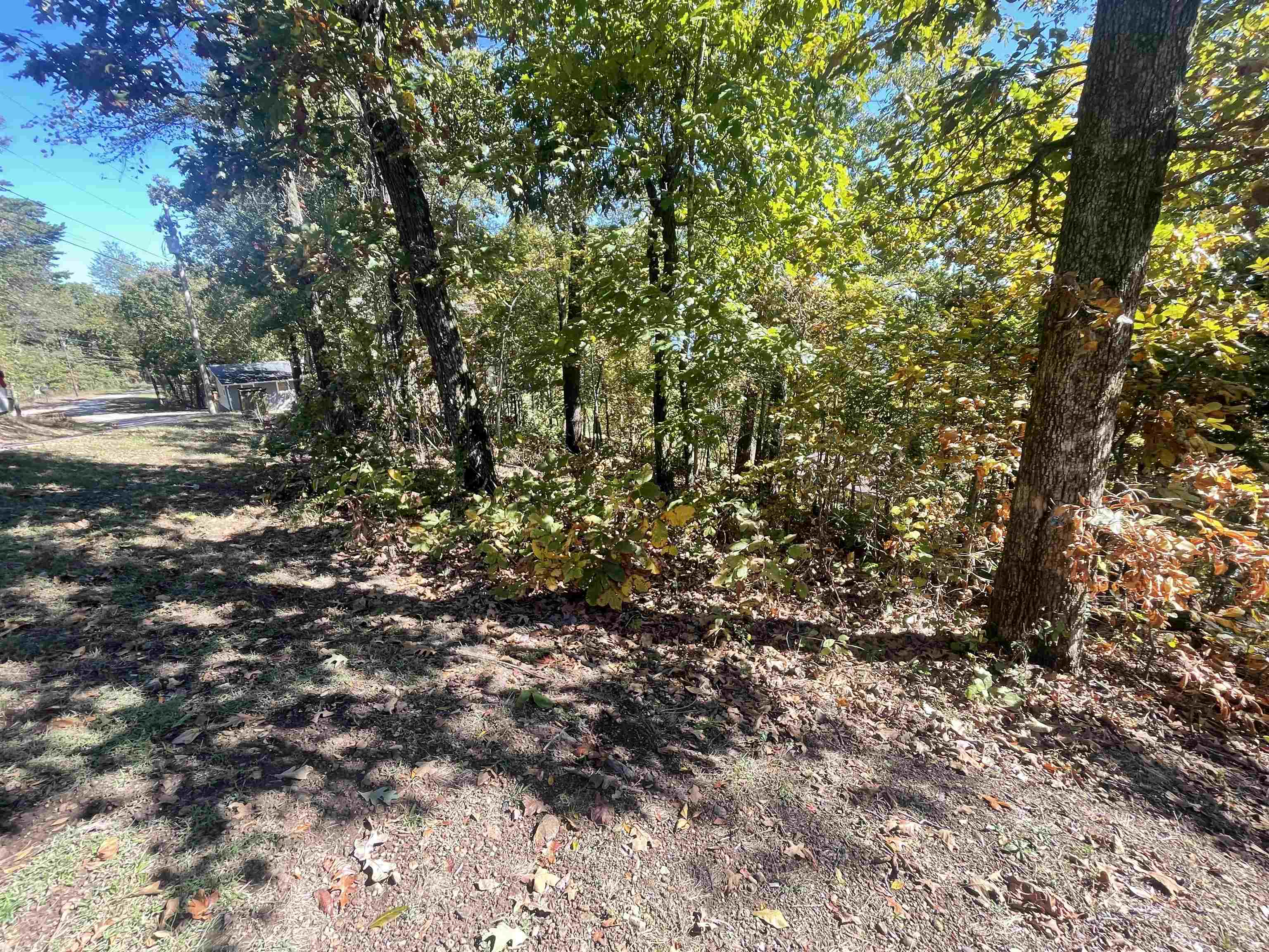 87 Cr 262 Rd Property Photo 4