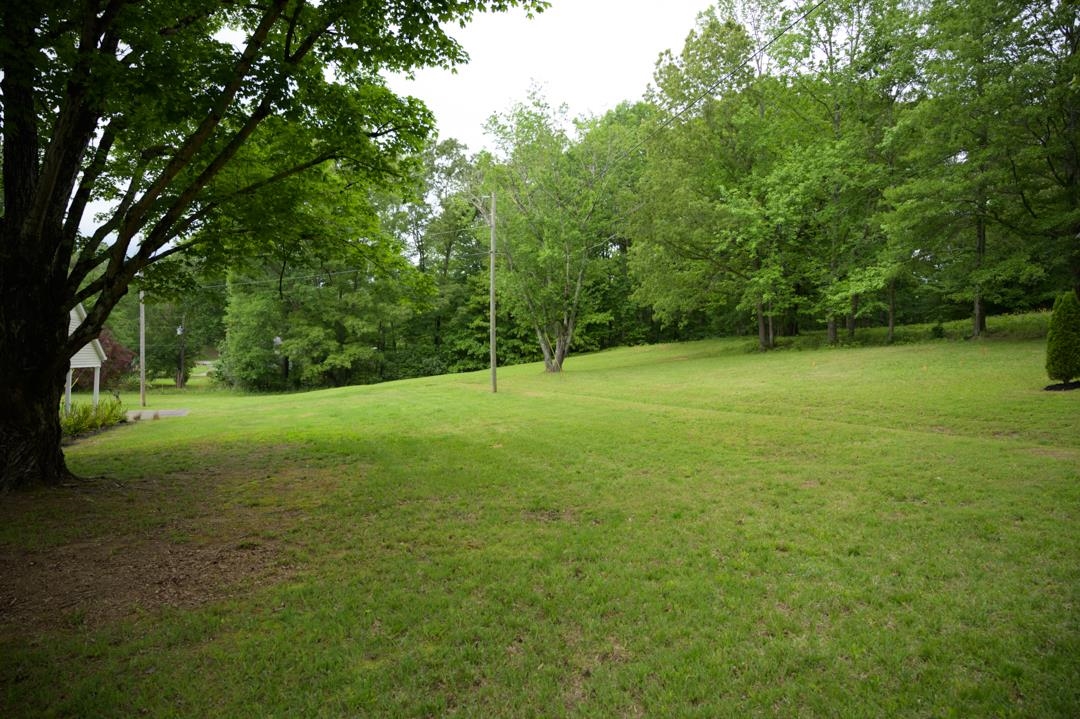 1152 E Poplar Ave Property Photo 34