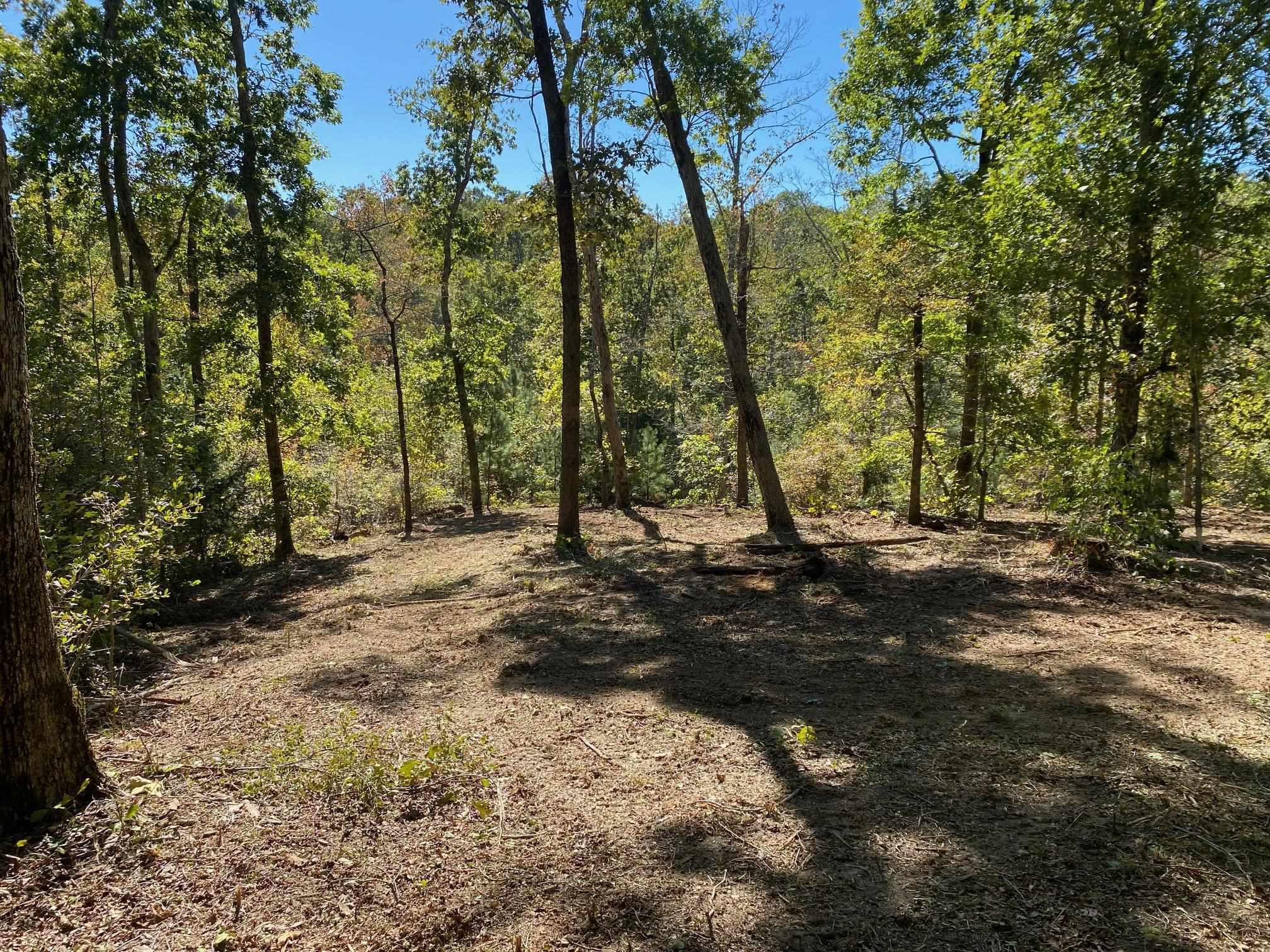 Hughes Rd Property Photo 6