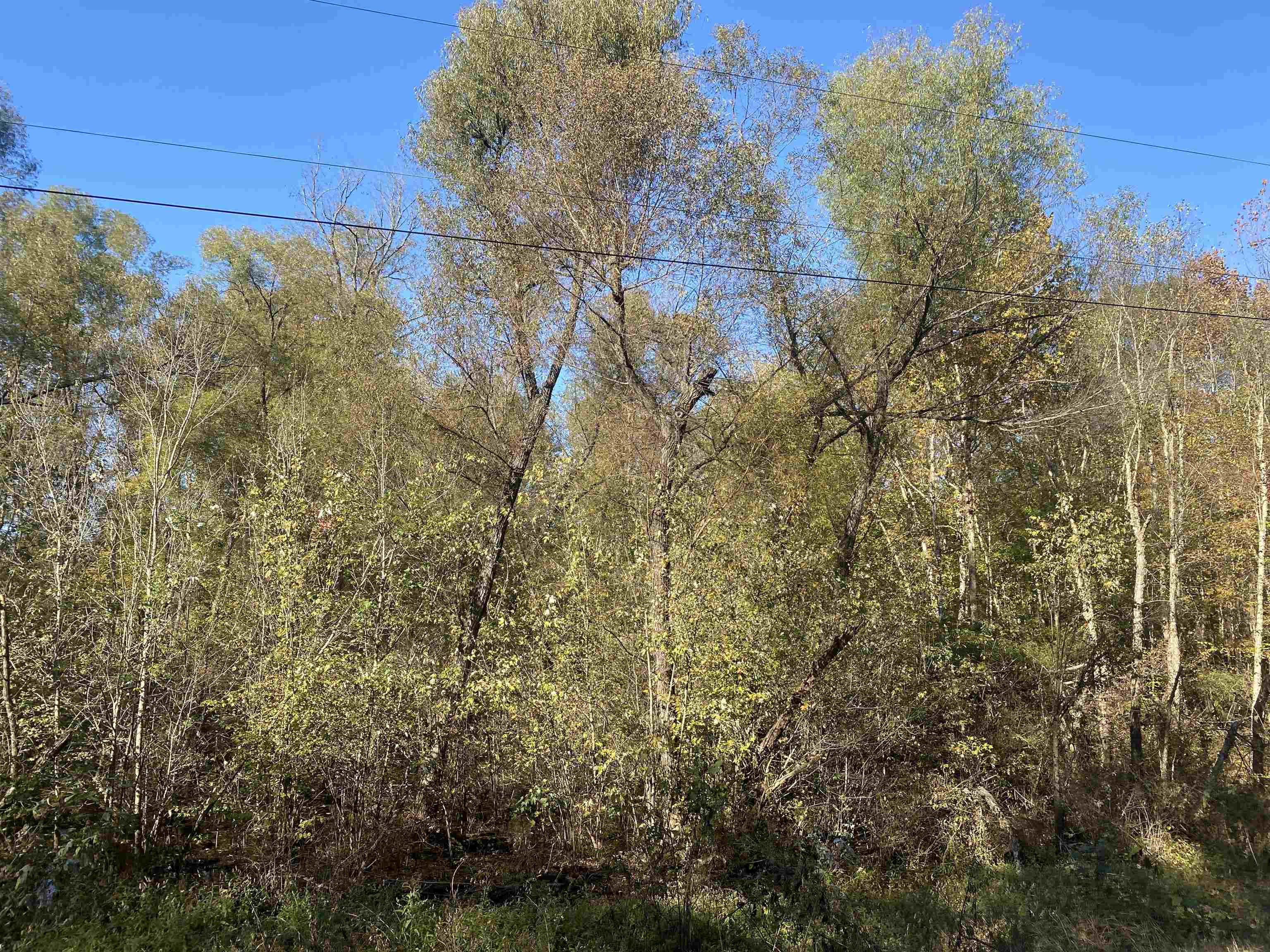 1 Saltillo Rd Property Photo 4