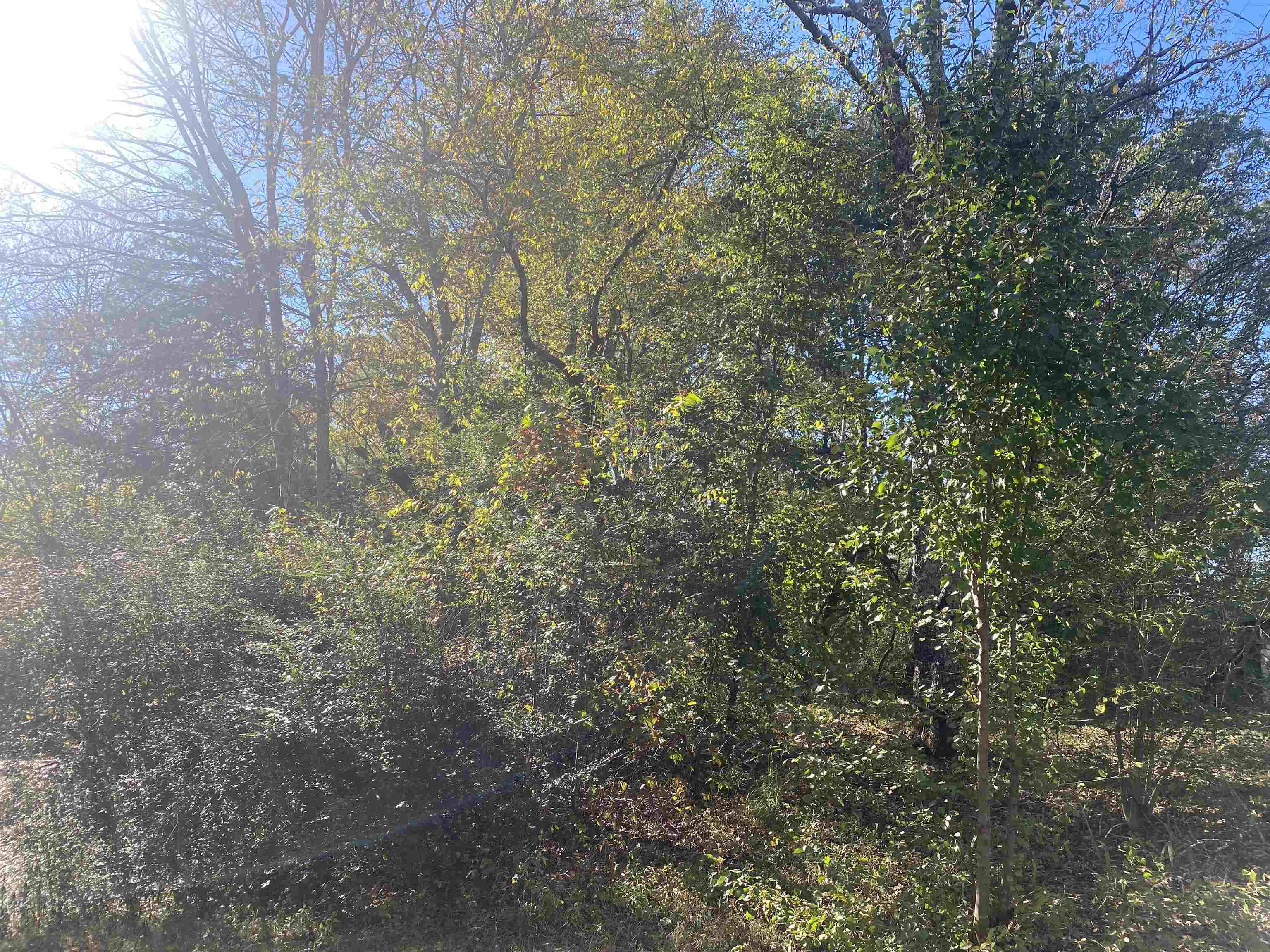 1 Saltillo Rd Property Photo 5