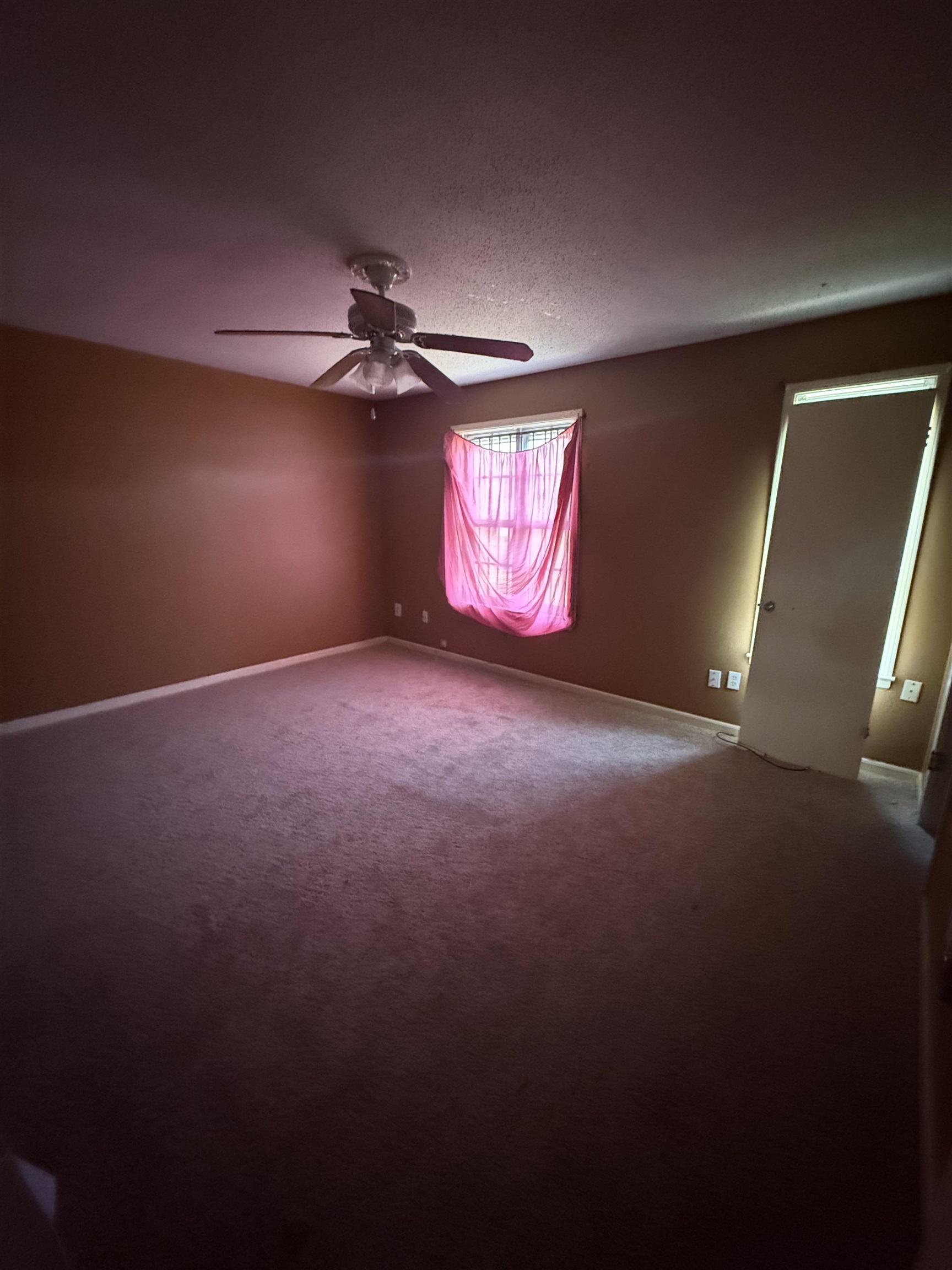 4797 Myrlen Dr Property Photo 4