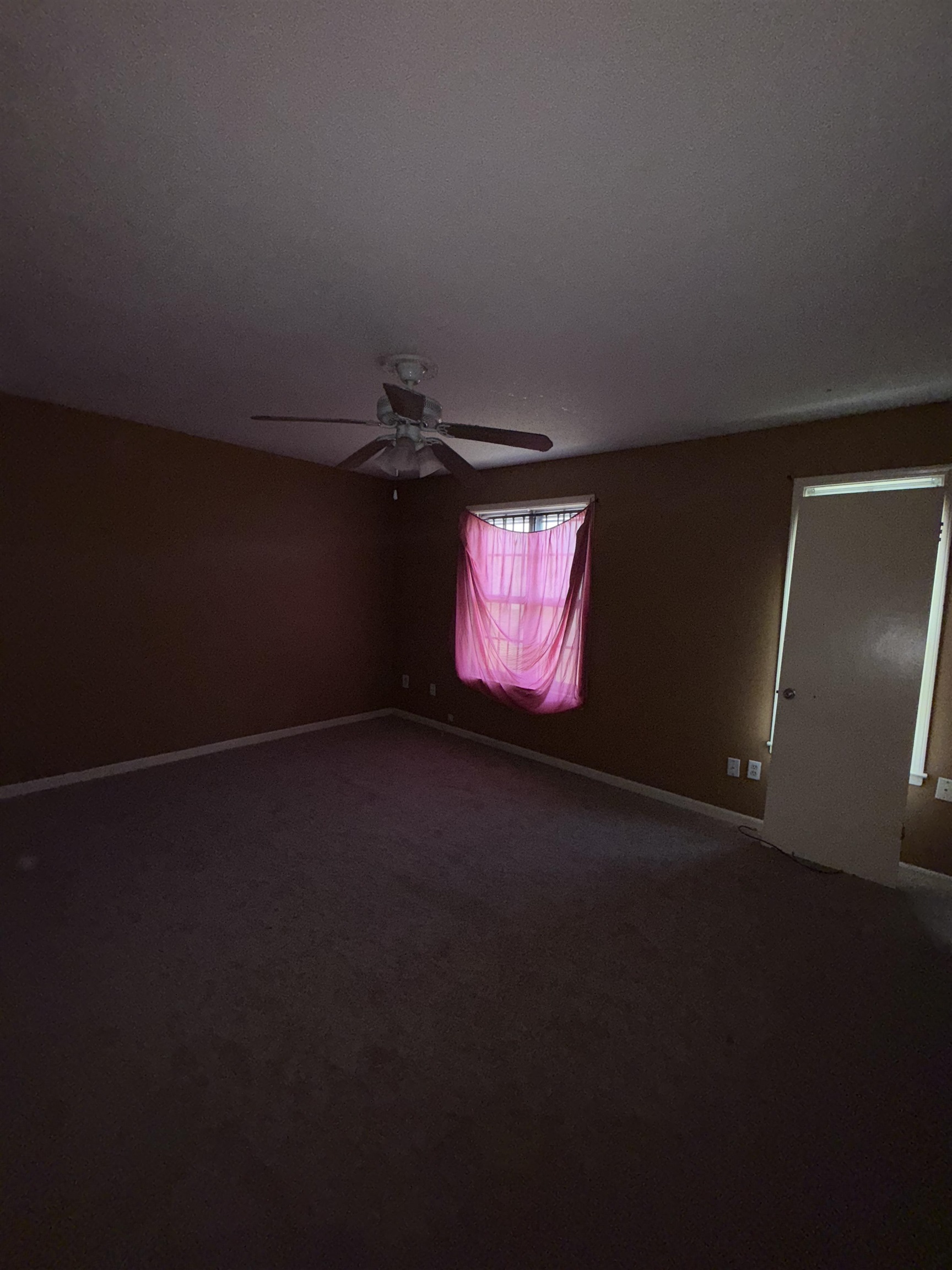 4797 Myrlen Dr Property Photo 10