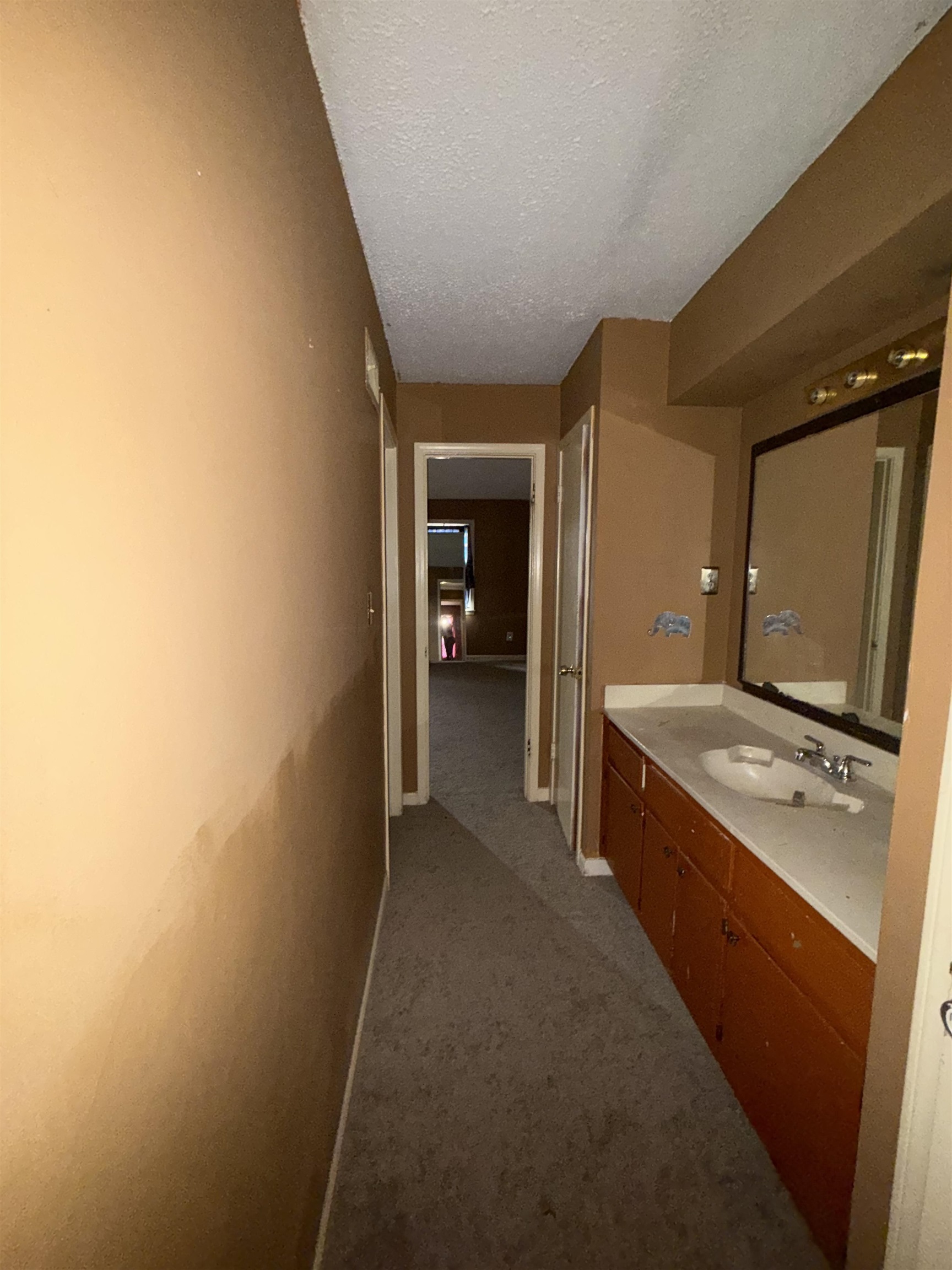 4797 Myrlen Dr Property Photo 11