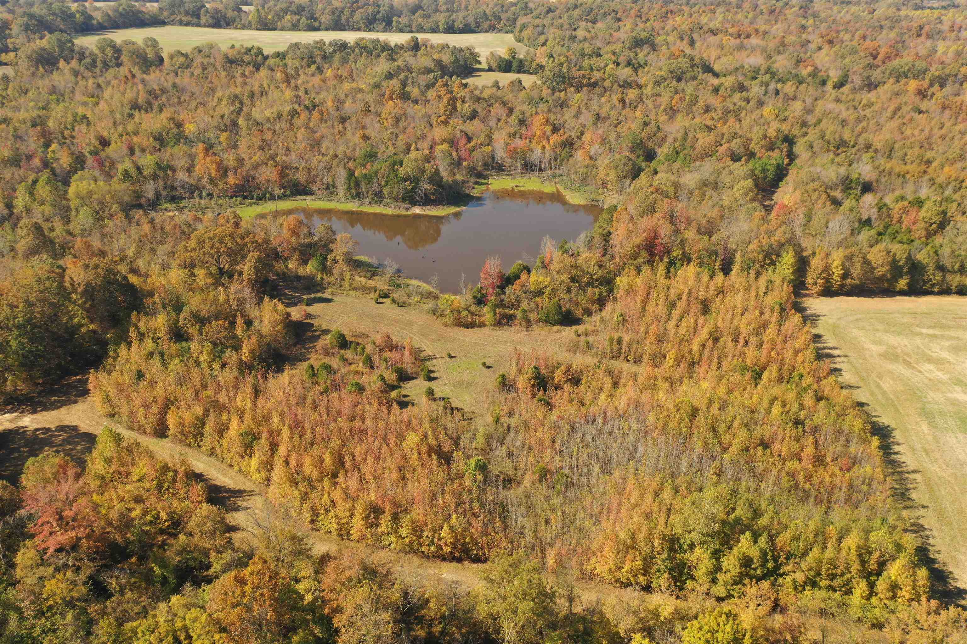 Mcfadden Rd Property Photo 1