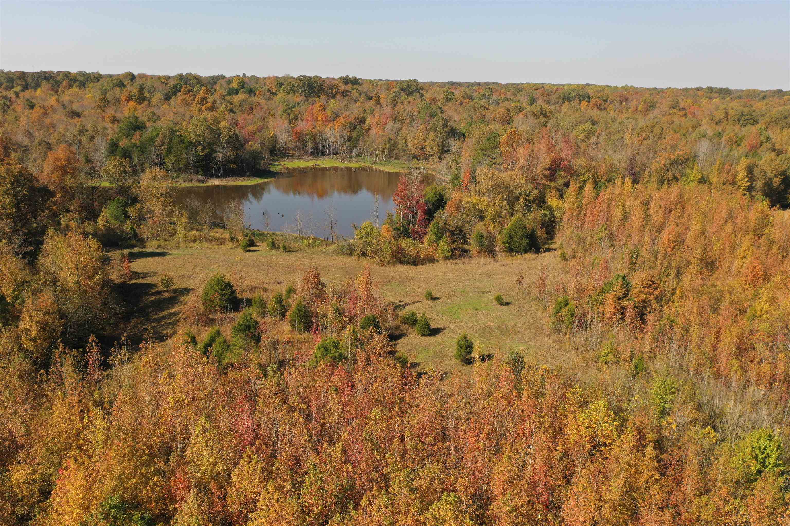 Mcfadden Rd Property Photo 2