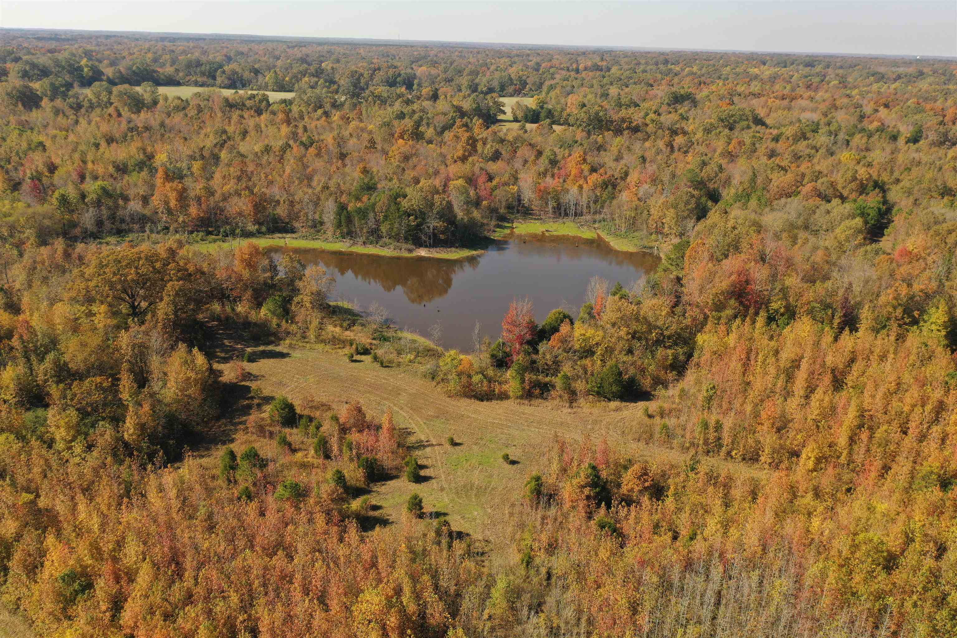 Mcfadden Rd Property Photo 3