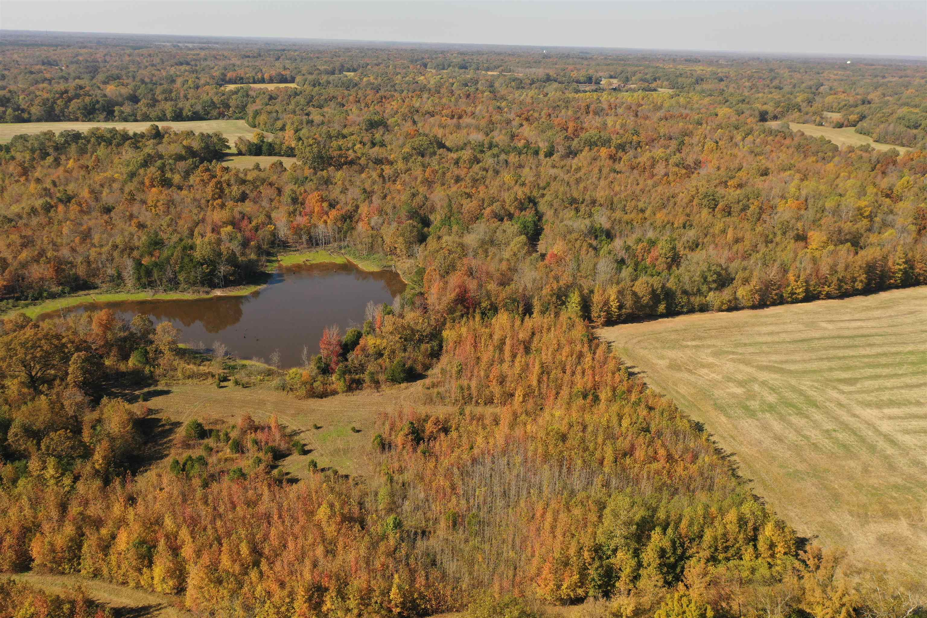 Mcfadden Rd Property Photo 4