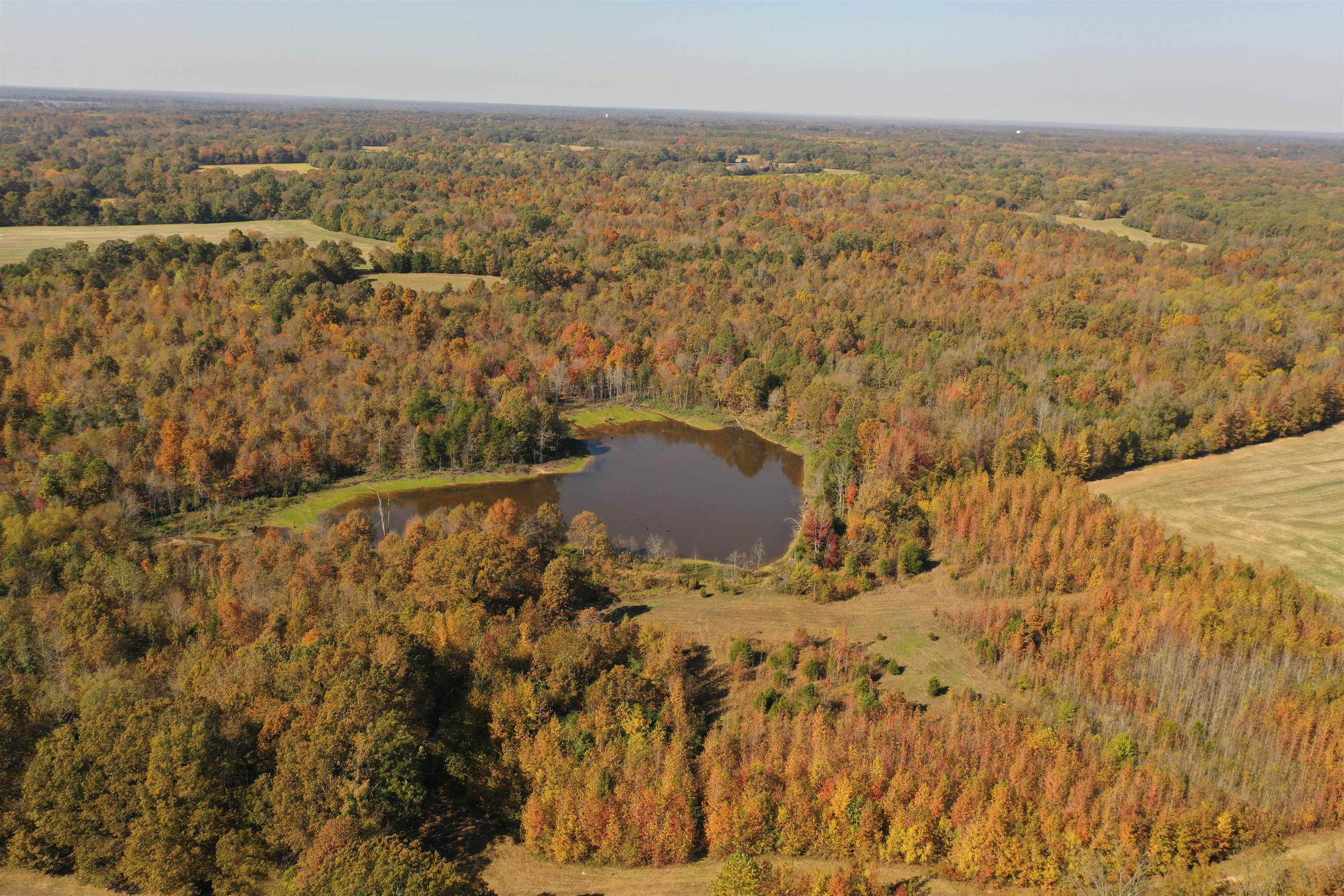 Mcfadden Rd Property Photo 5