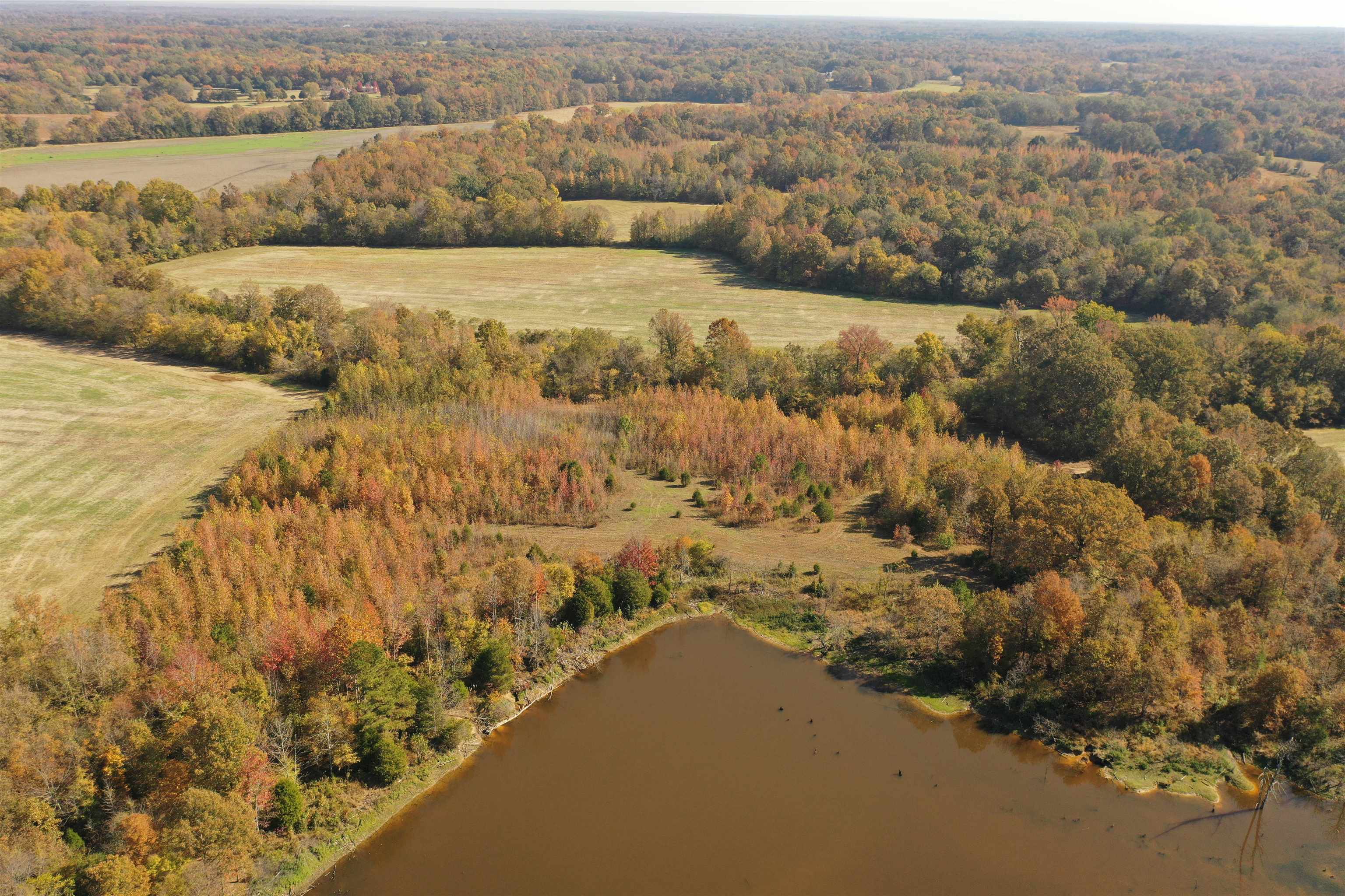 Mcfadden Rd Property Photo 6