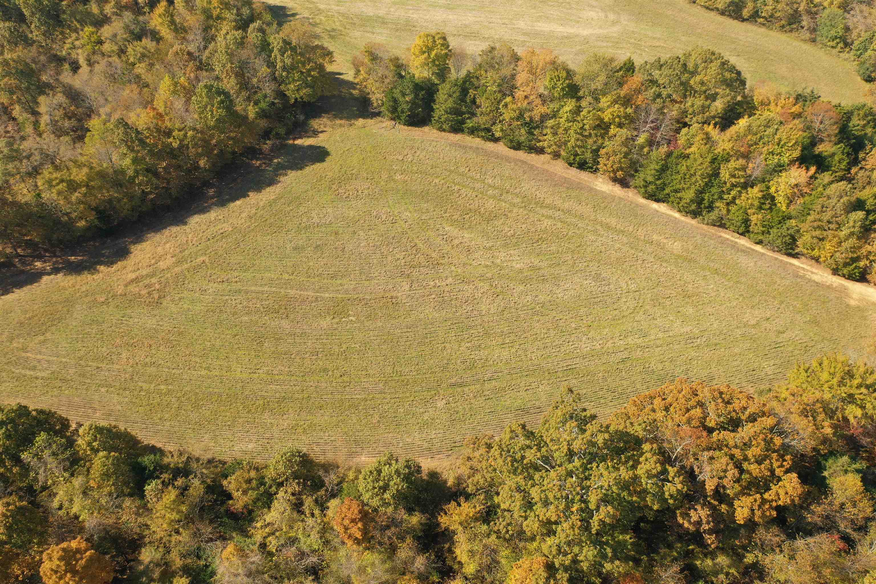 Mcfadden Rd Property Photo 7