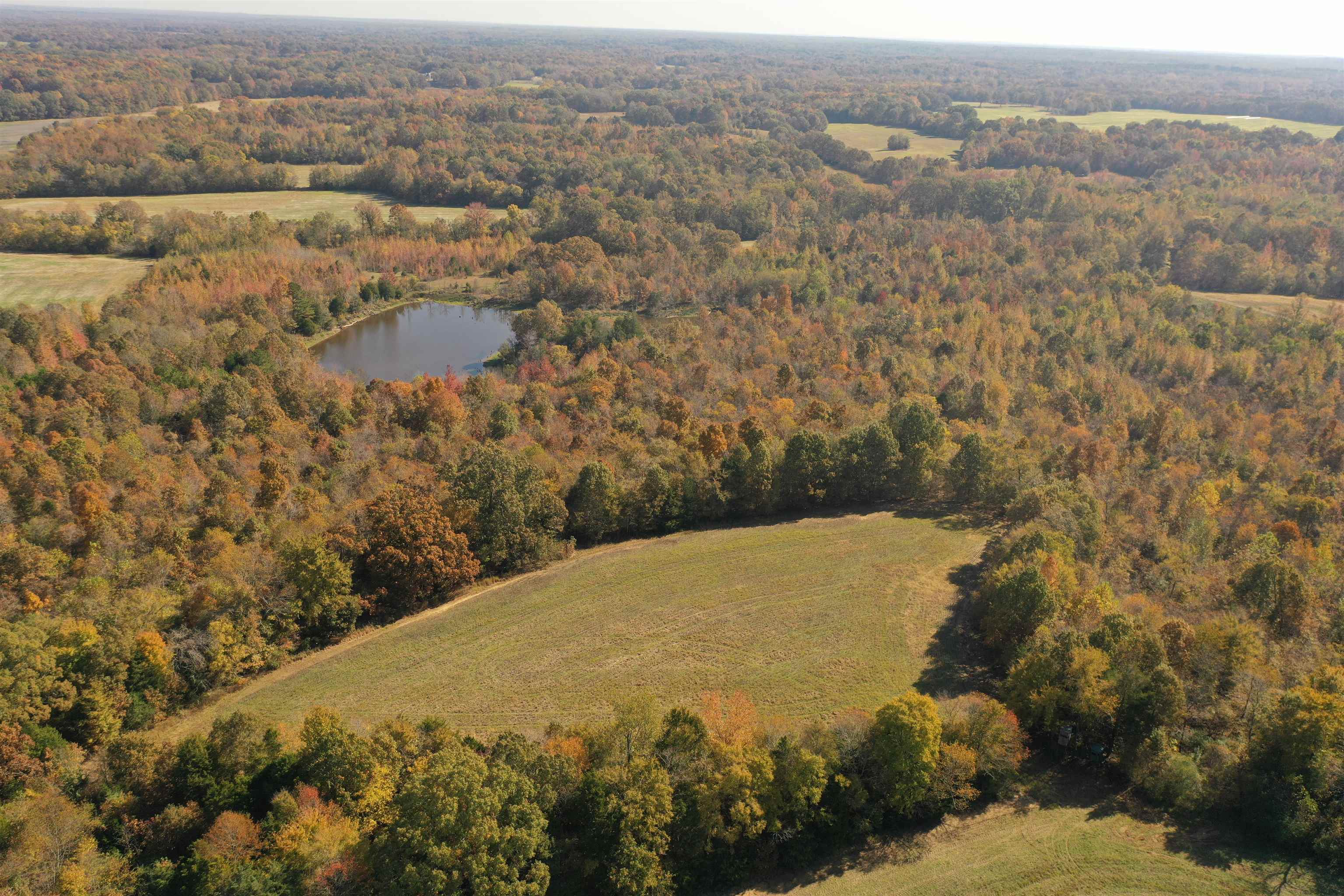 Mcfadden Rd Property Photo 8