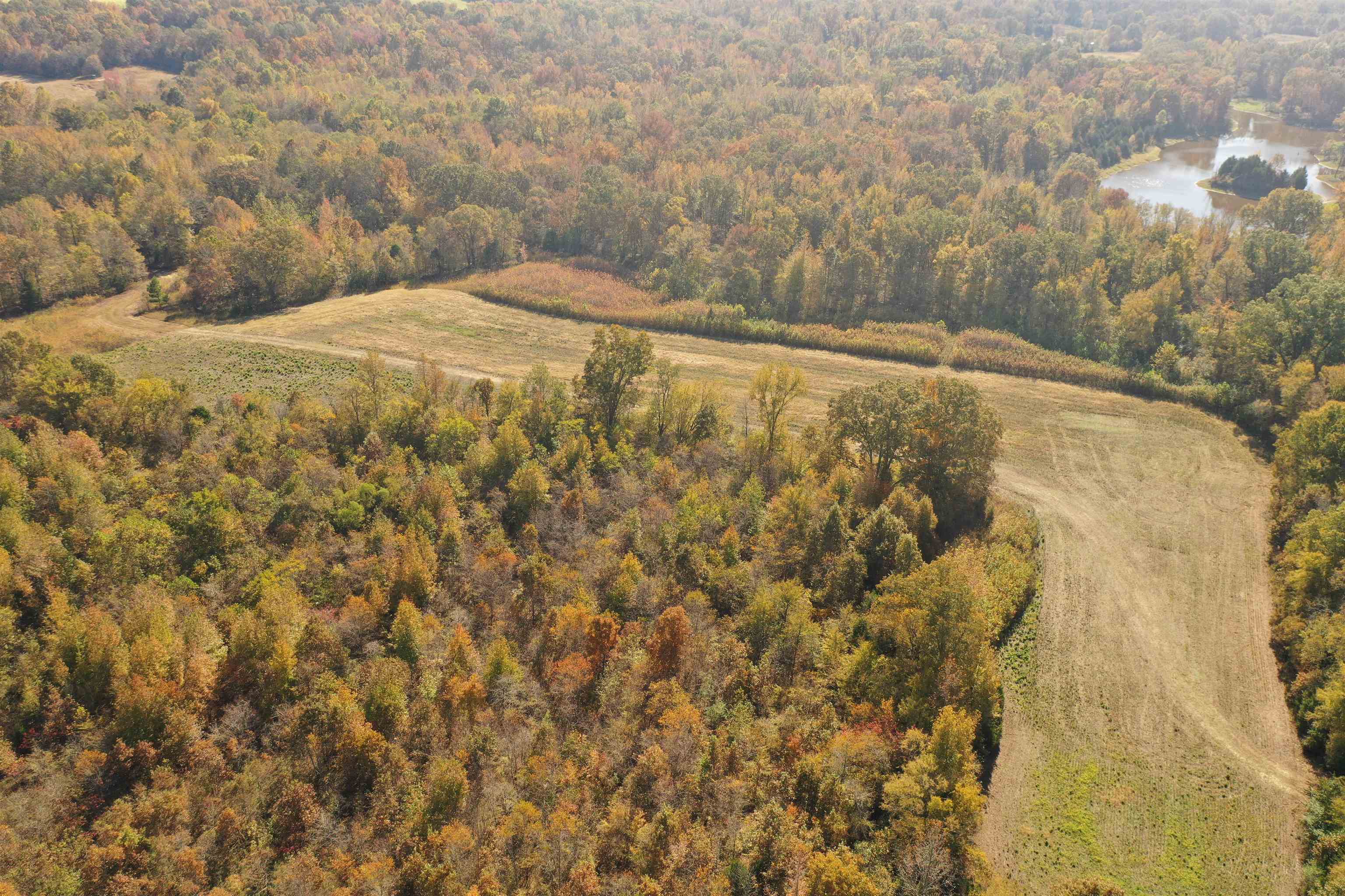 Mcfadden Rd Property Photo 9
