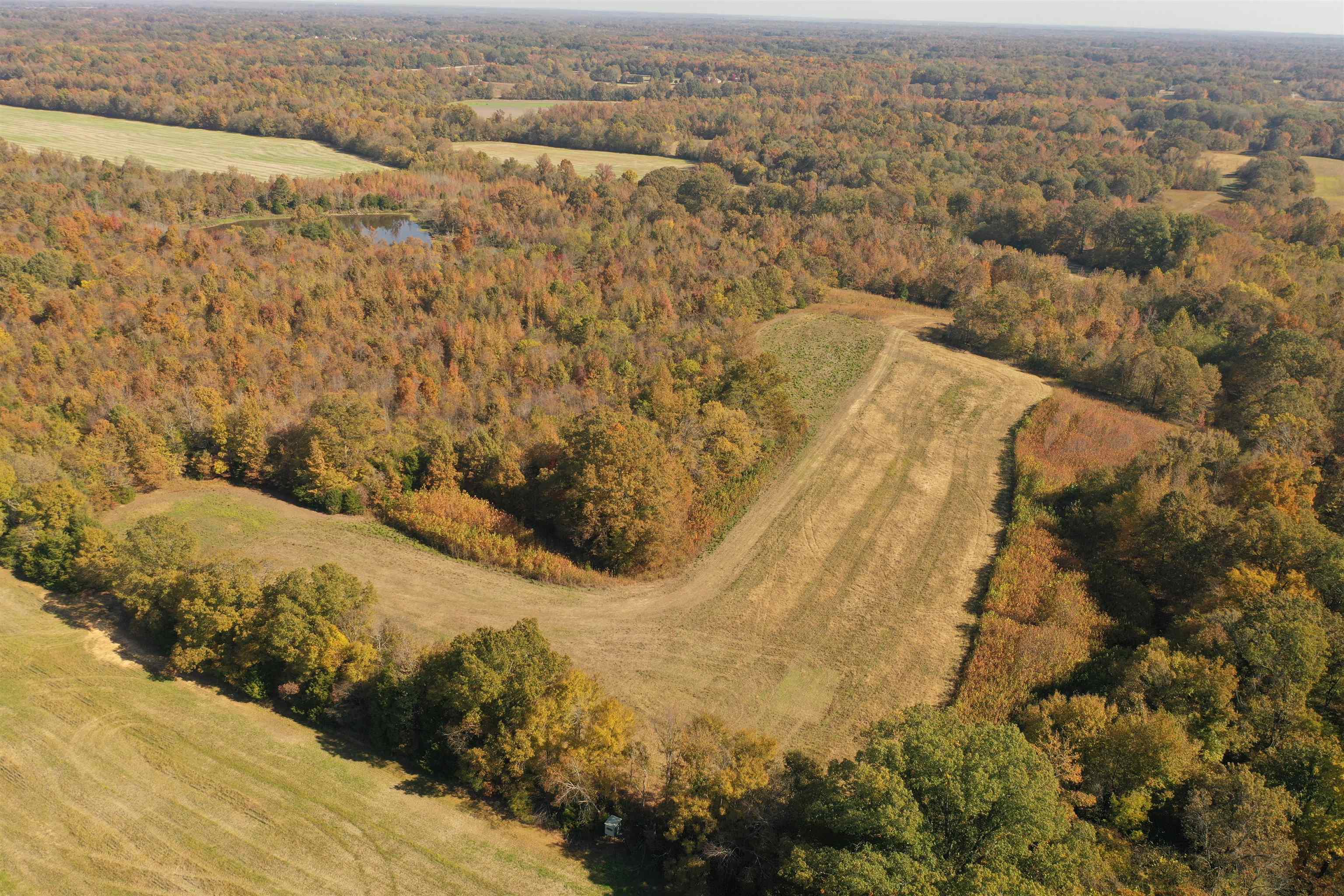 Mcfadden Rd Property Photo 10