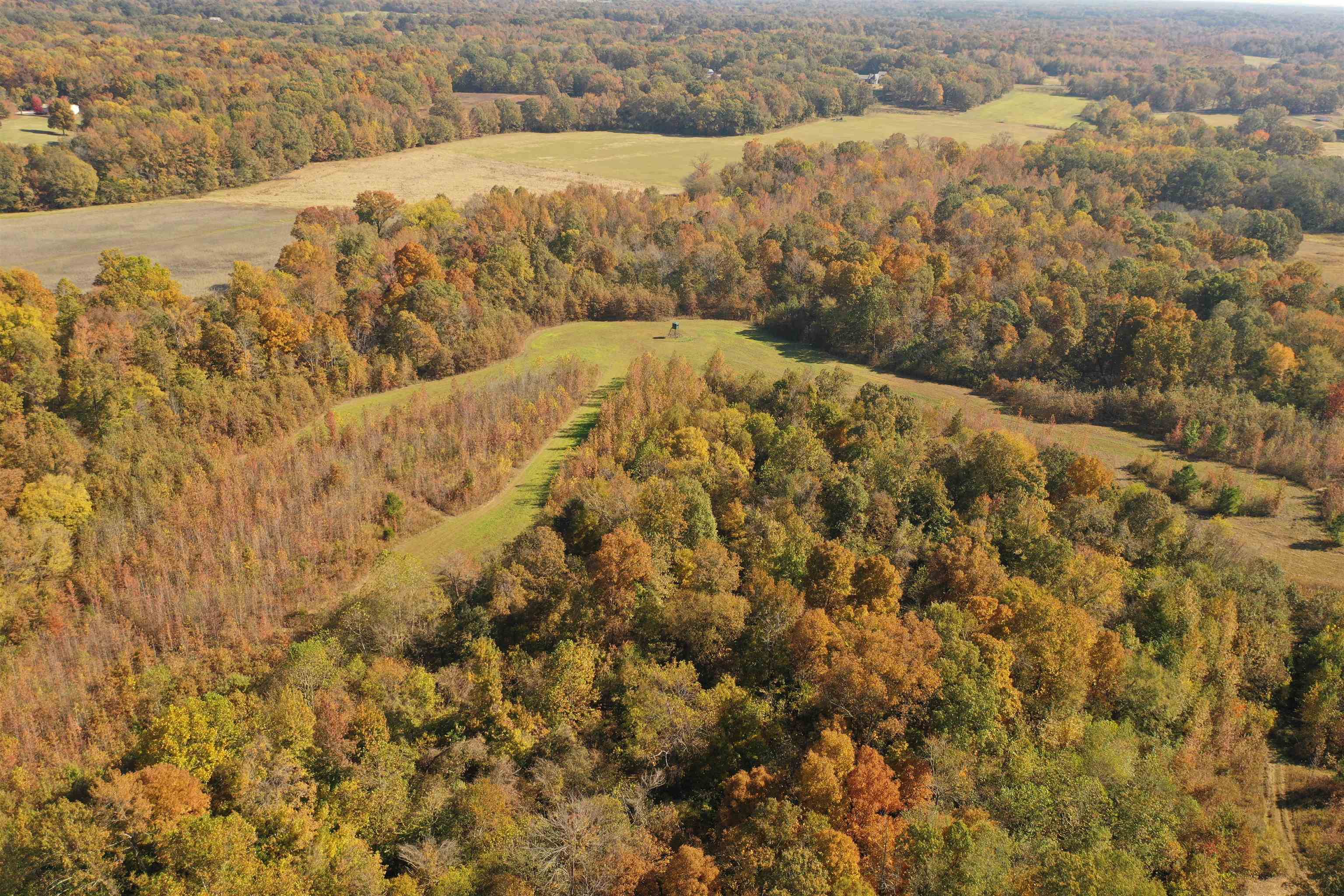 Mcfadden Rd Property Photo 11