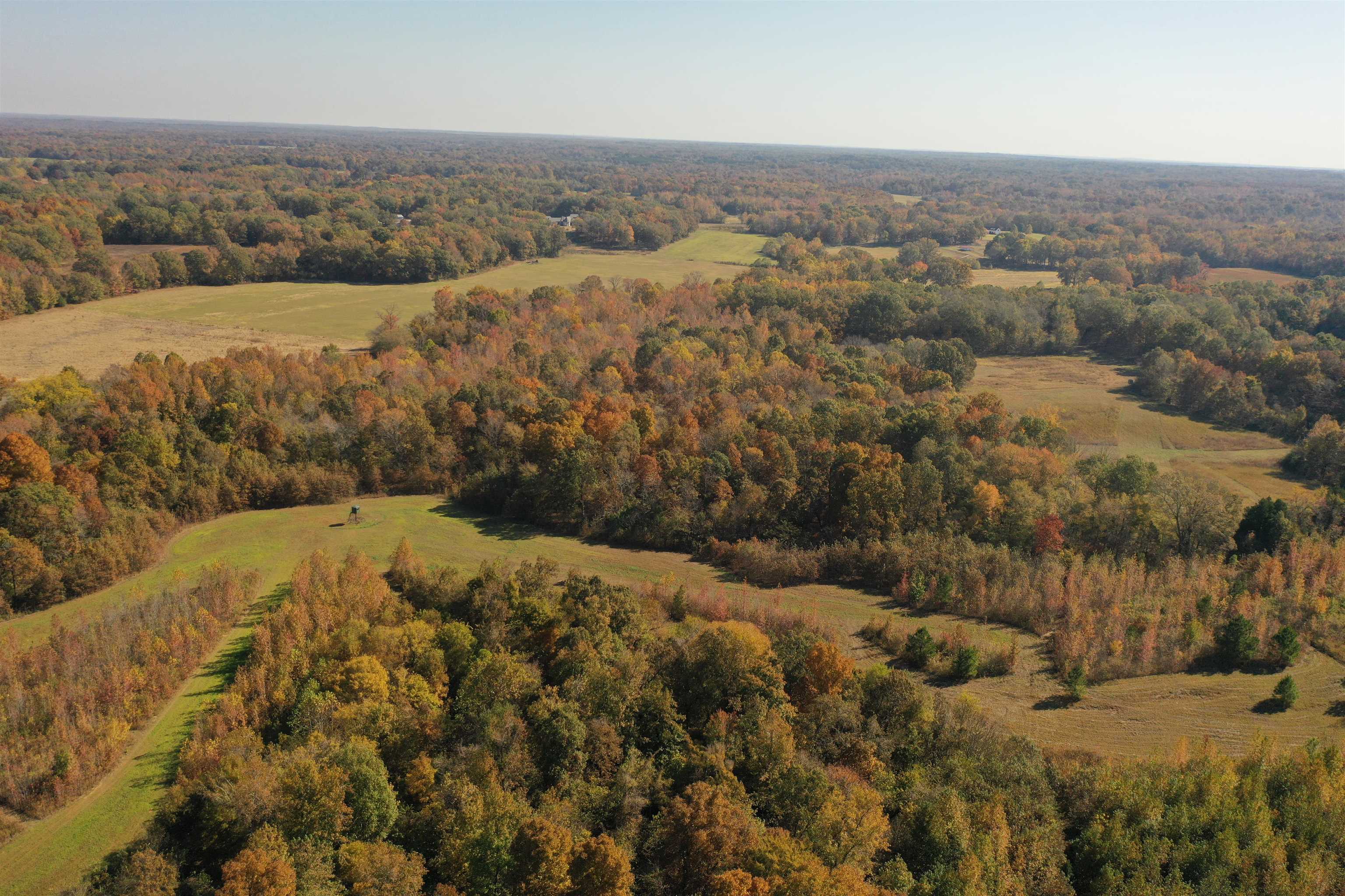Mcfadden Rd Property Photo 12