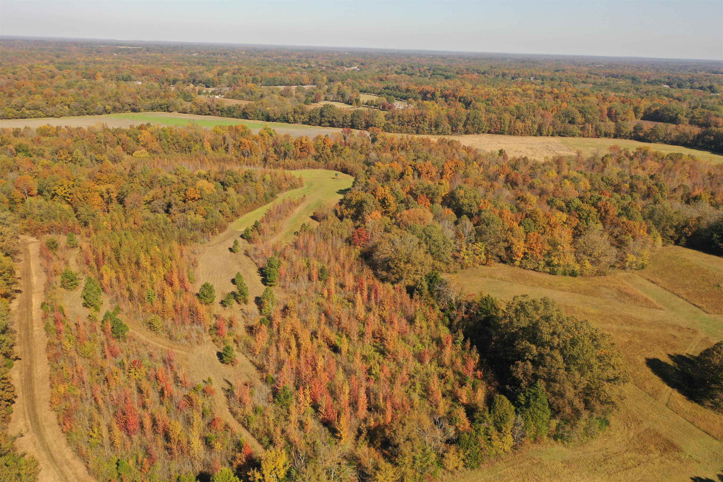 Mcfadden Rd Property Photo 13