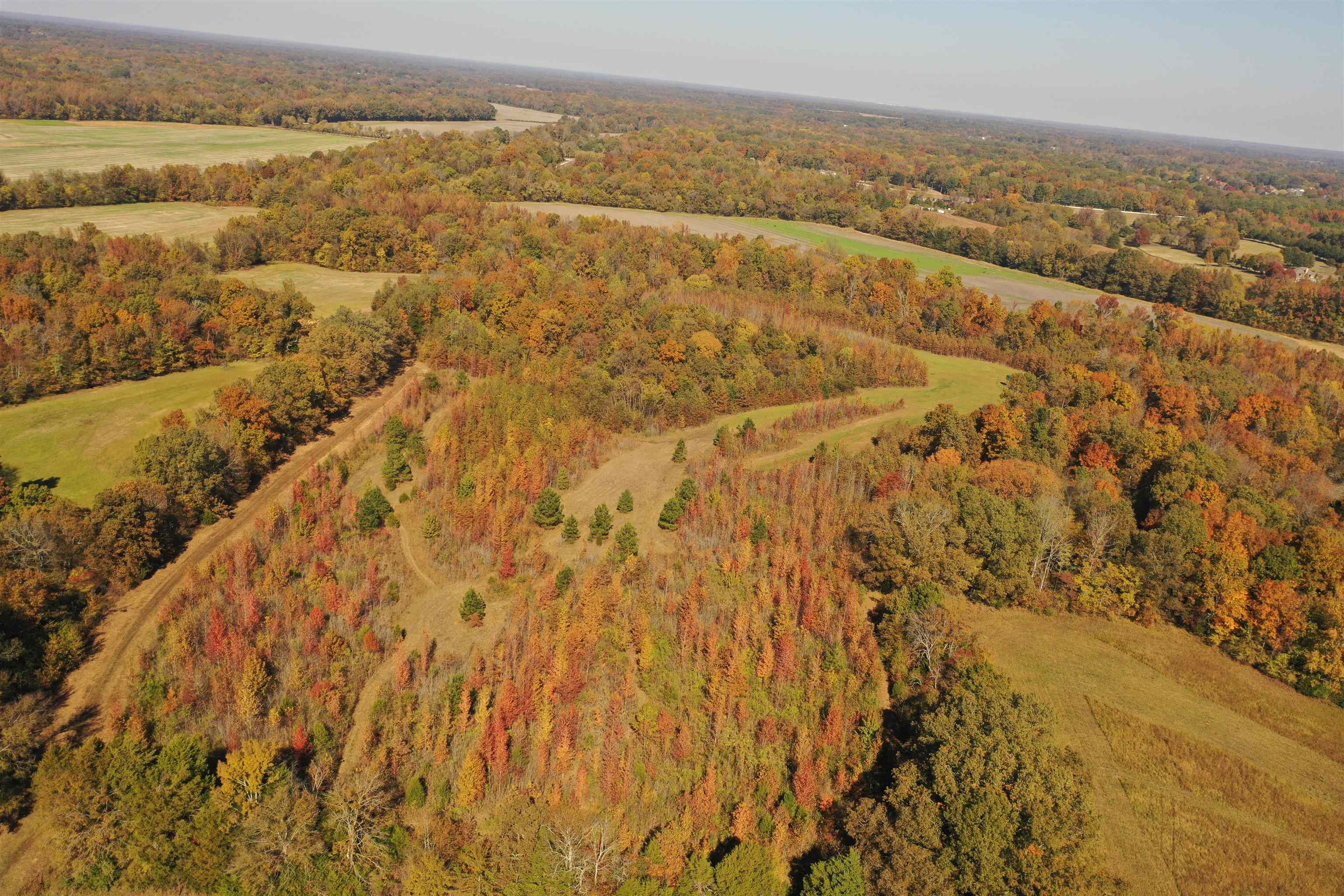 Mcfadden Rd Property Photo 14