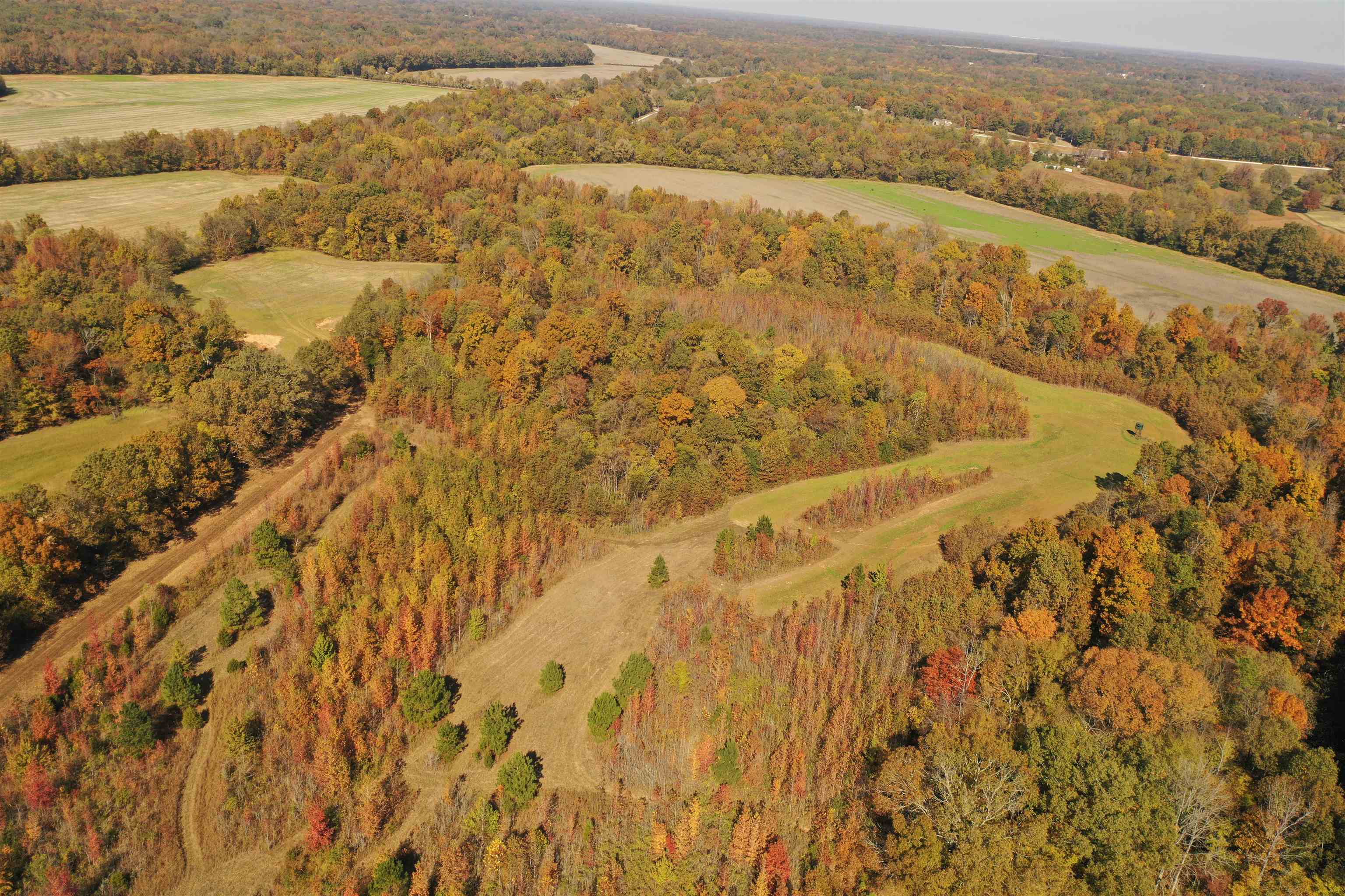 Mcfadden Rd Property Photo 15