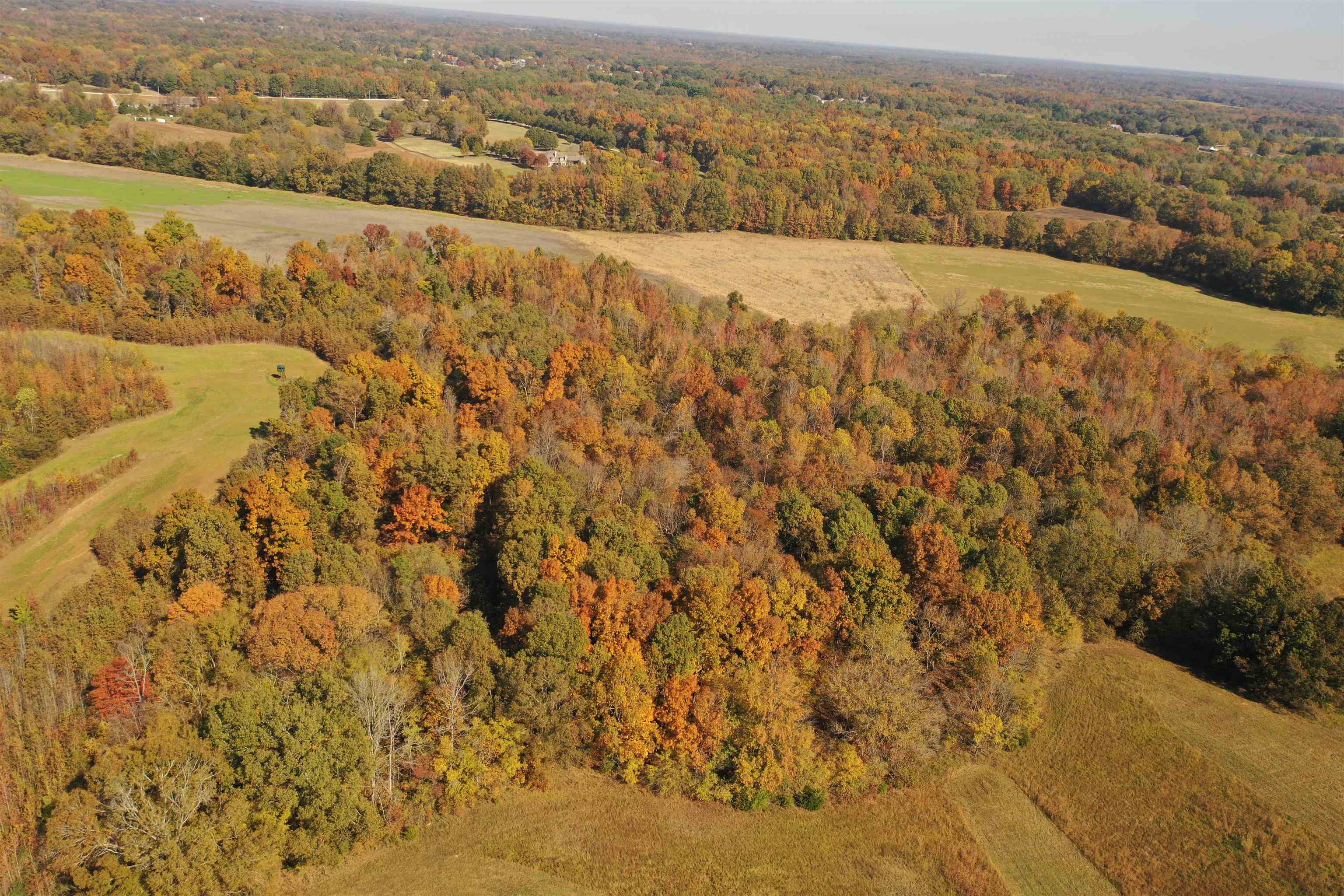 Mcfadden Rd Property Photo 16