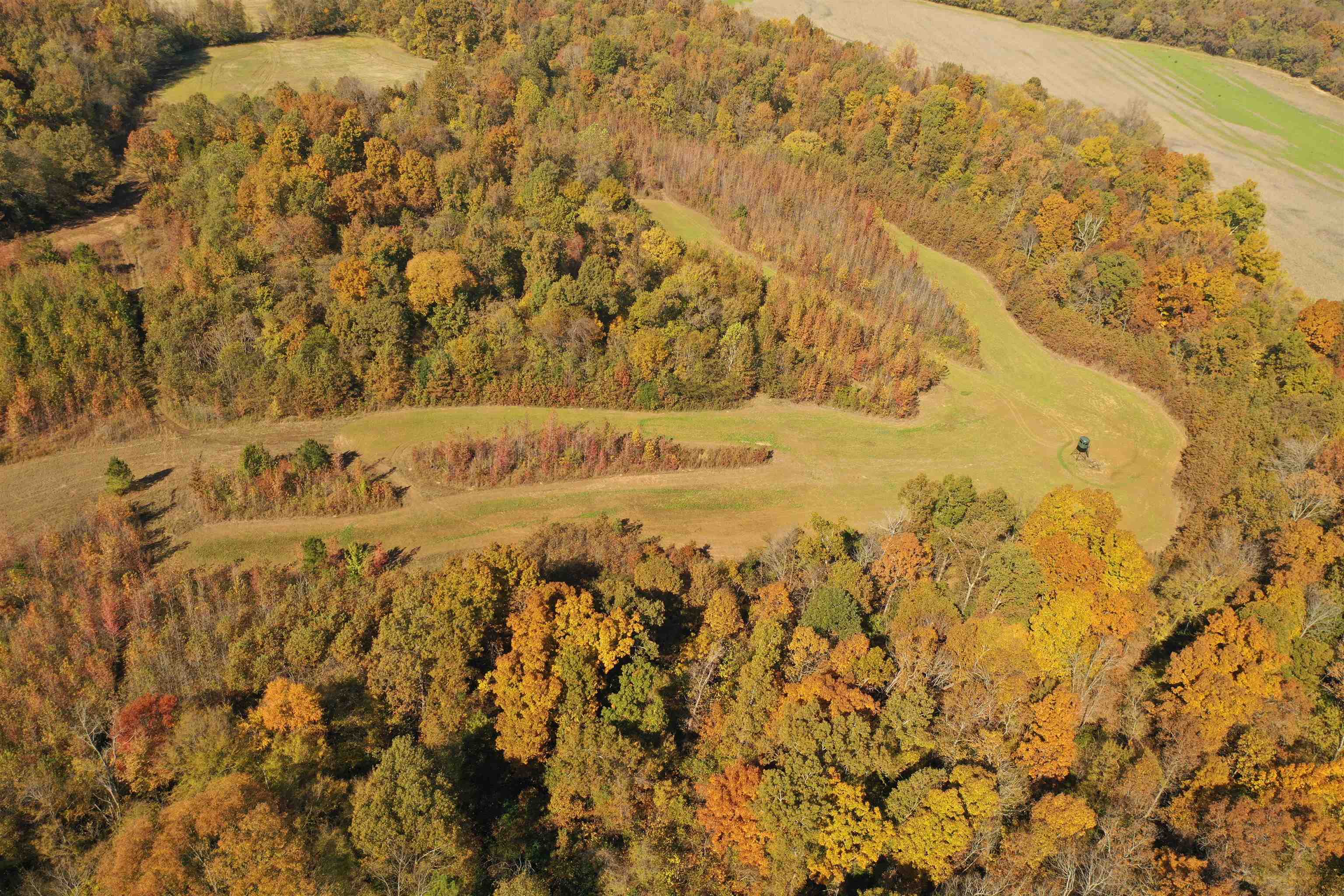 Mcfadden Rd Property Photo 17