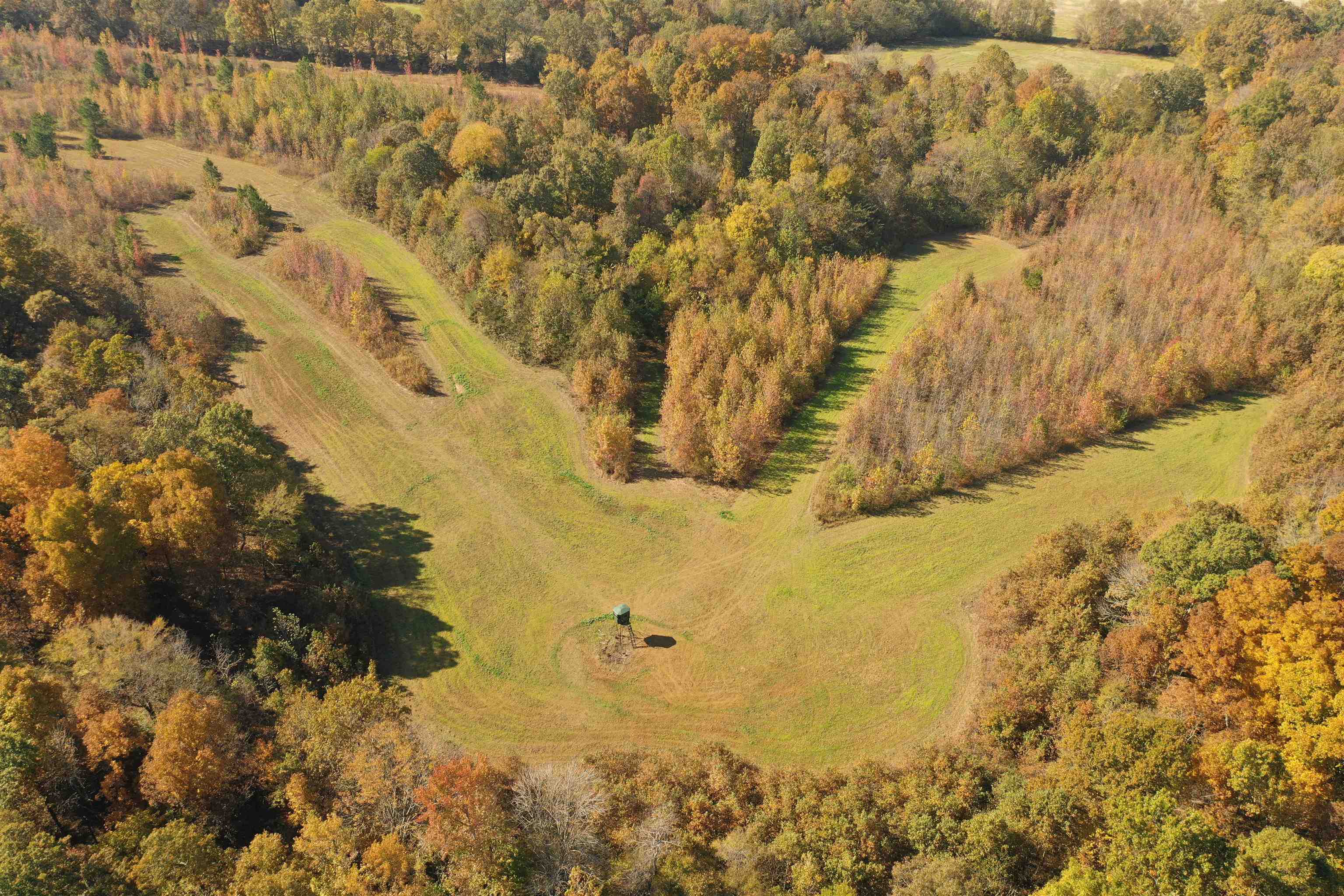 Mcfadden Rd Property Photo 19