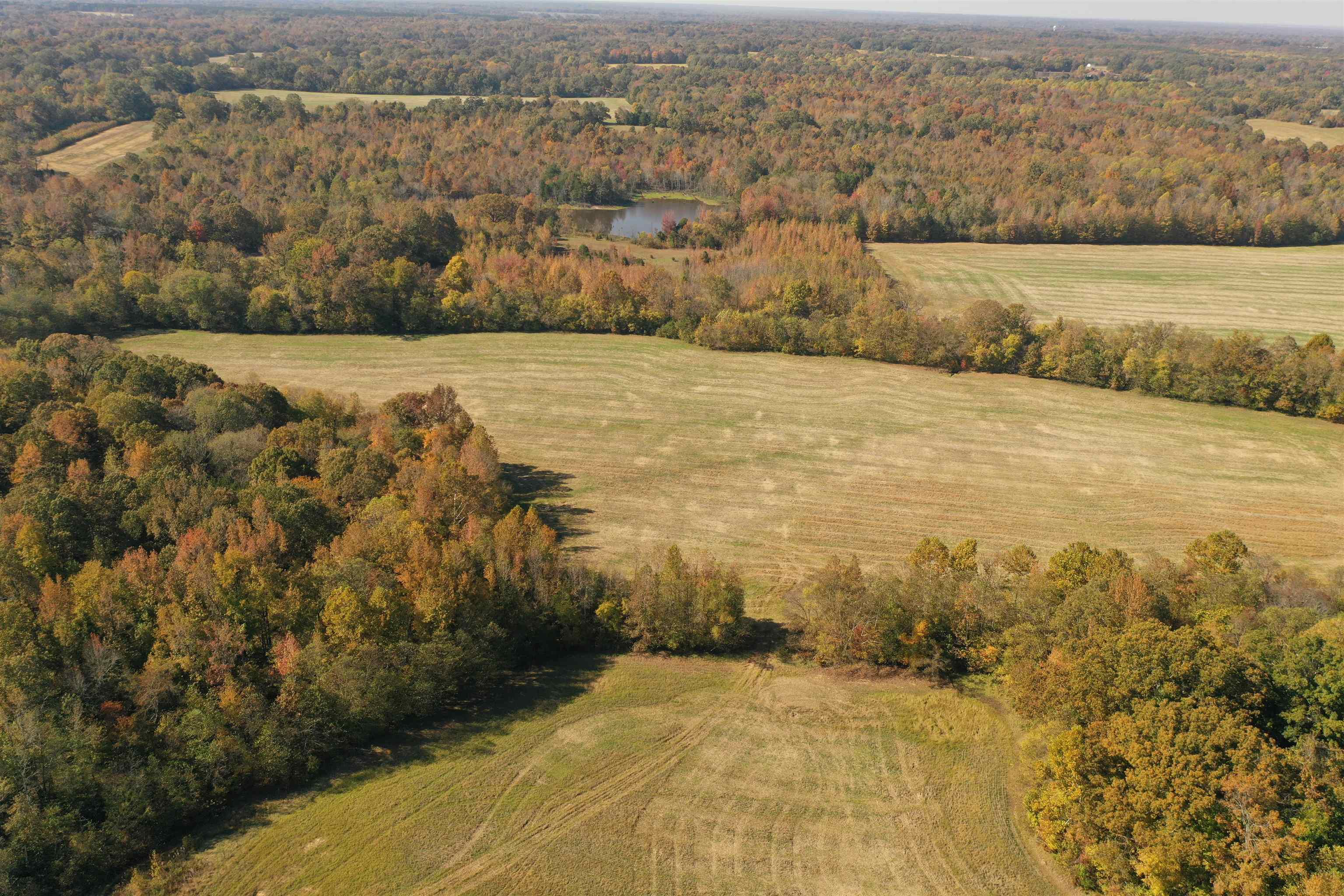 Mcfadden Rd Property Photo 20