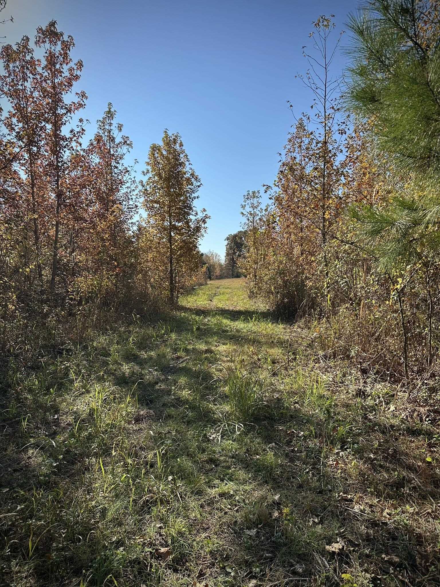Mcfadden Rd Property Photo 22
