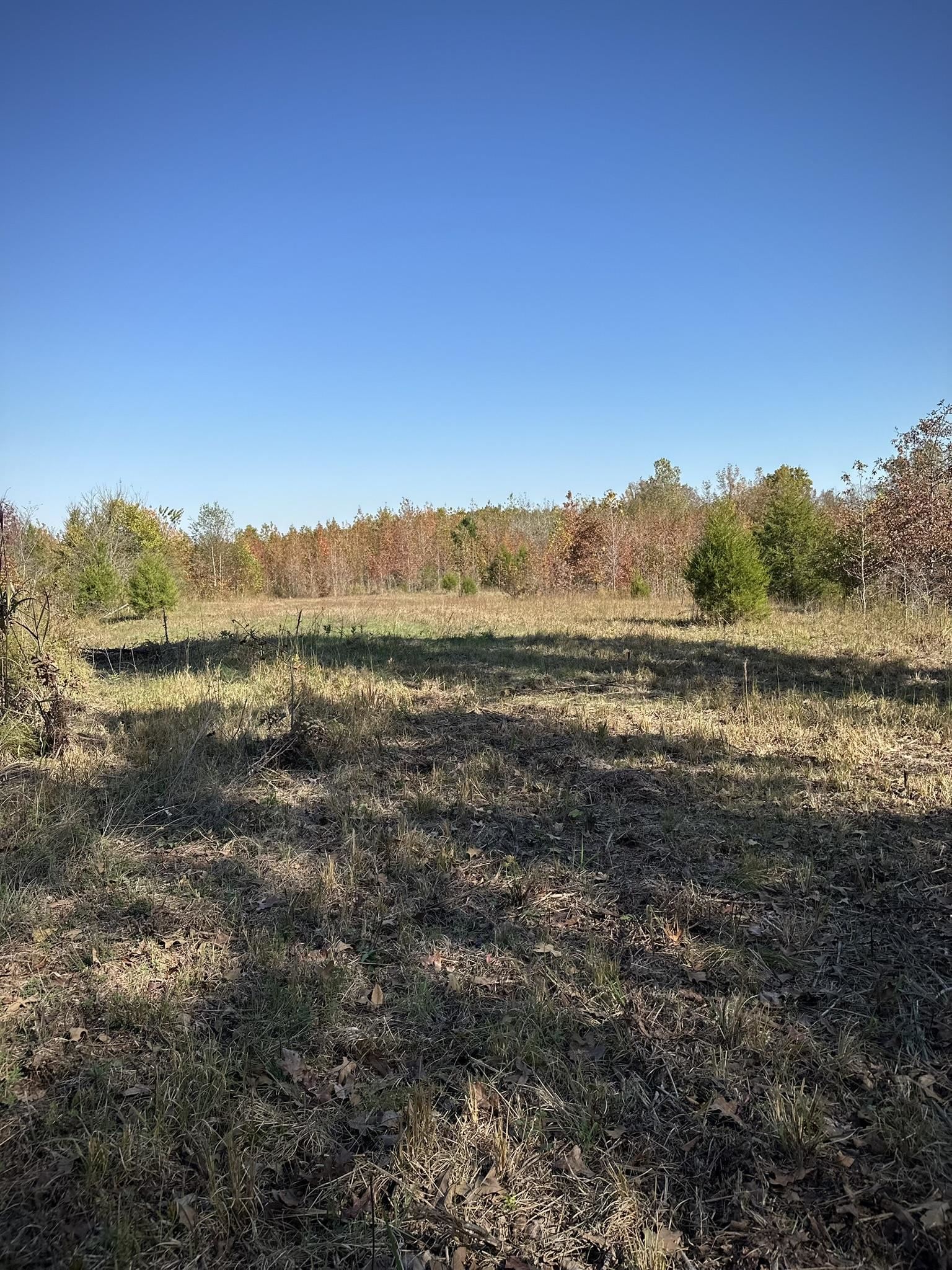 Mcfadden Rd Property Photo 23