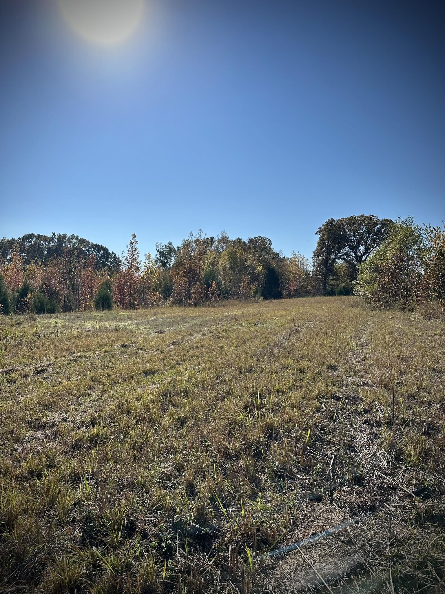 Mcfadden Rd Property Photo 25