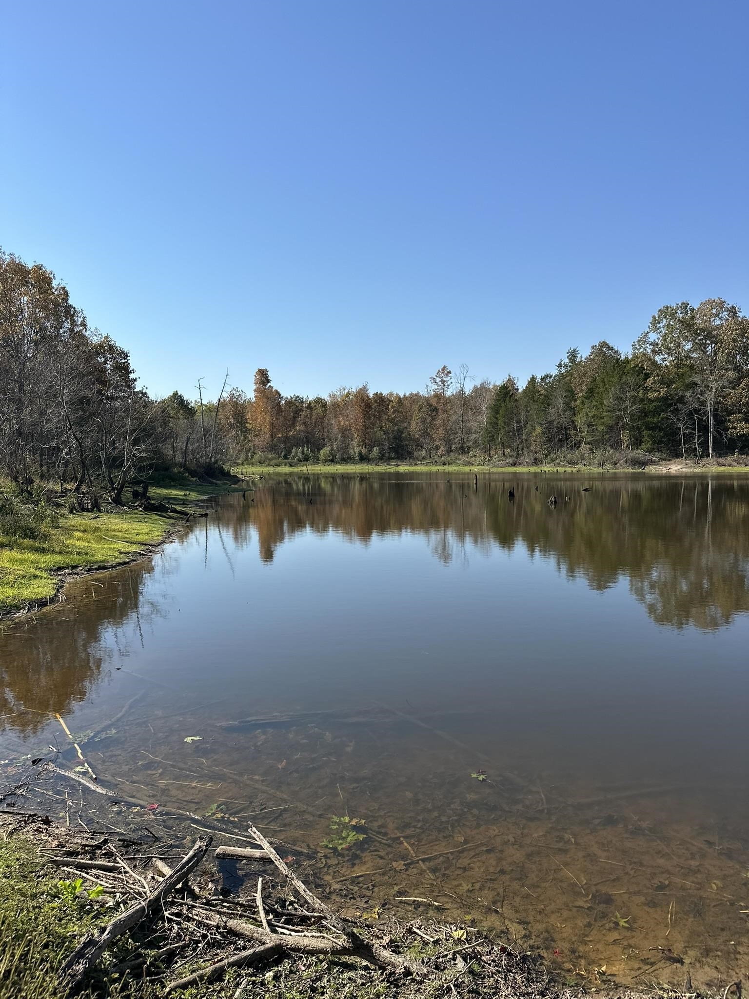 Mcfadden Rd Property Photo 27