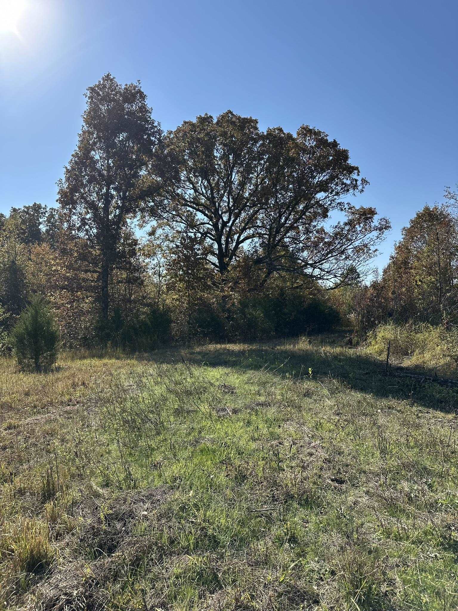 Mcfadden Rd Property Photo 29