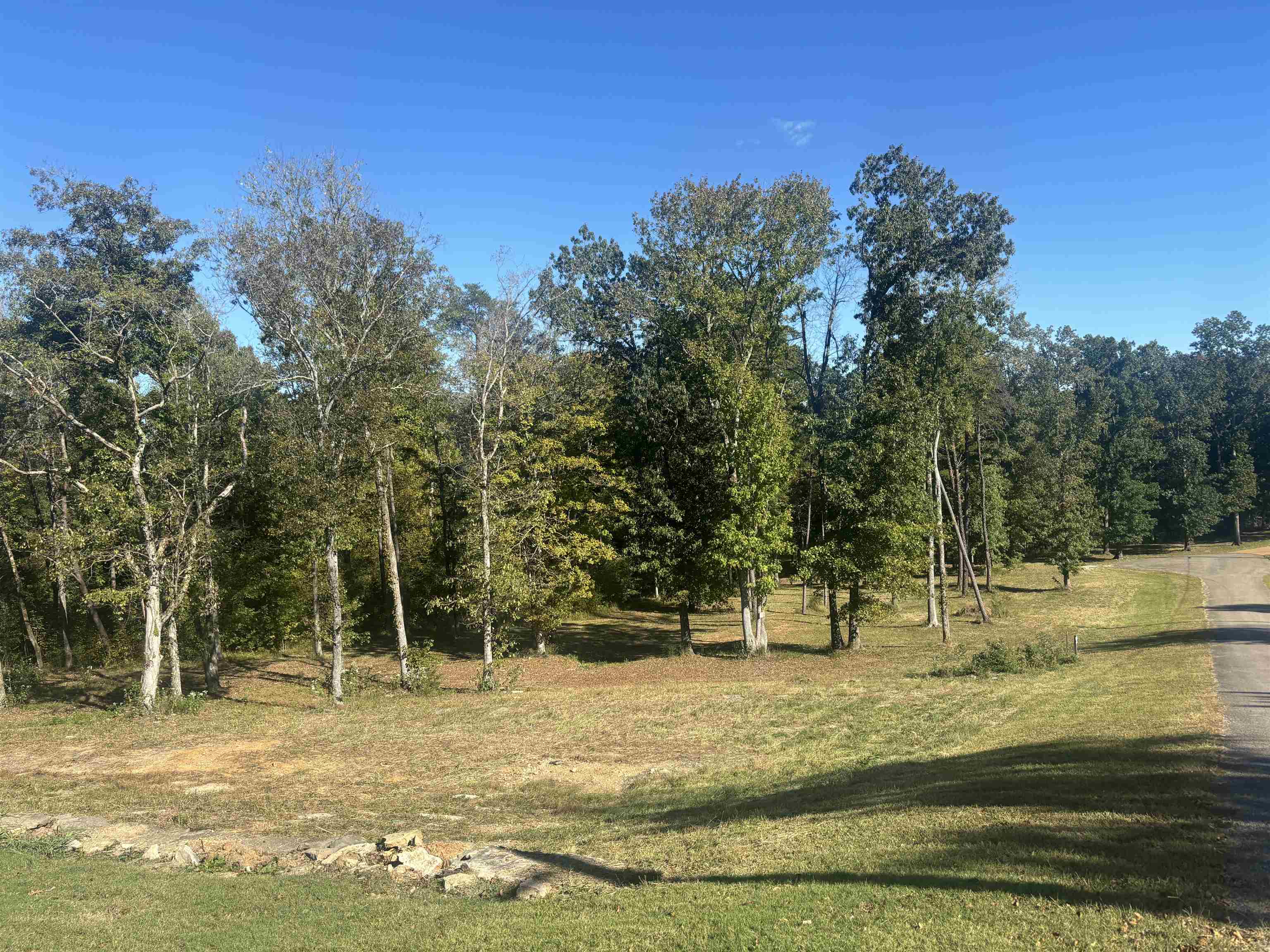 0 Mariah Ln Lot 100-101 Property Photo 2