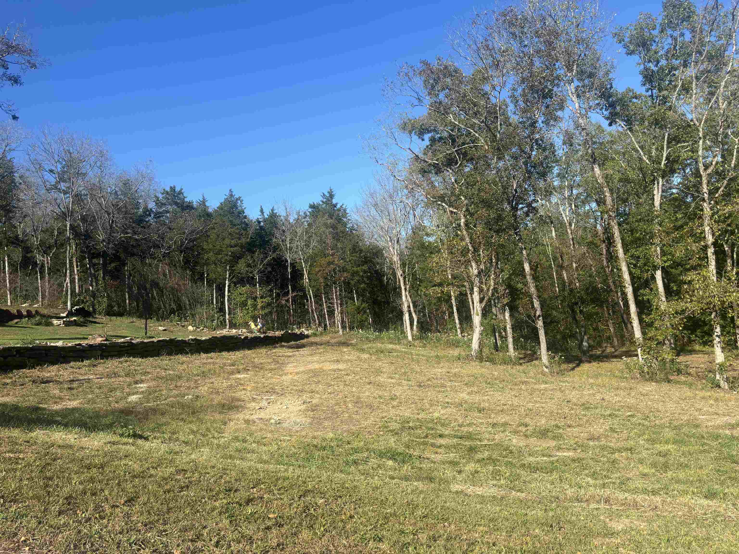 0 Mariah Ln Lot 100-101 Property Photo 5
