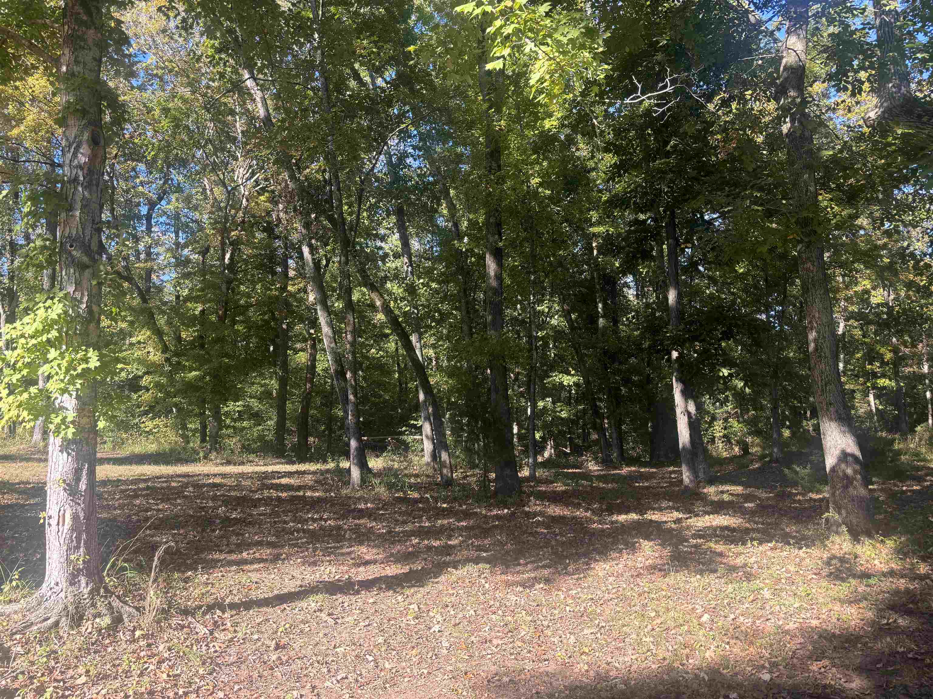 0 Mariah Ln Lot 100-101 Property Photo 6