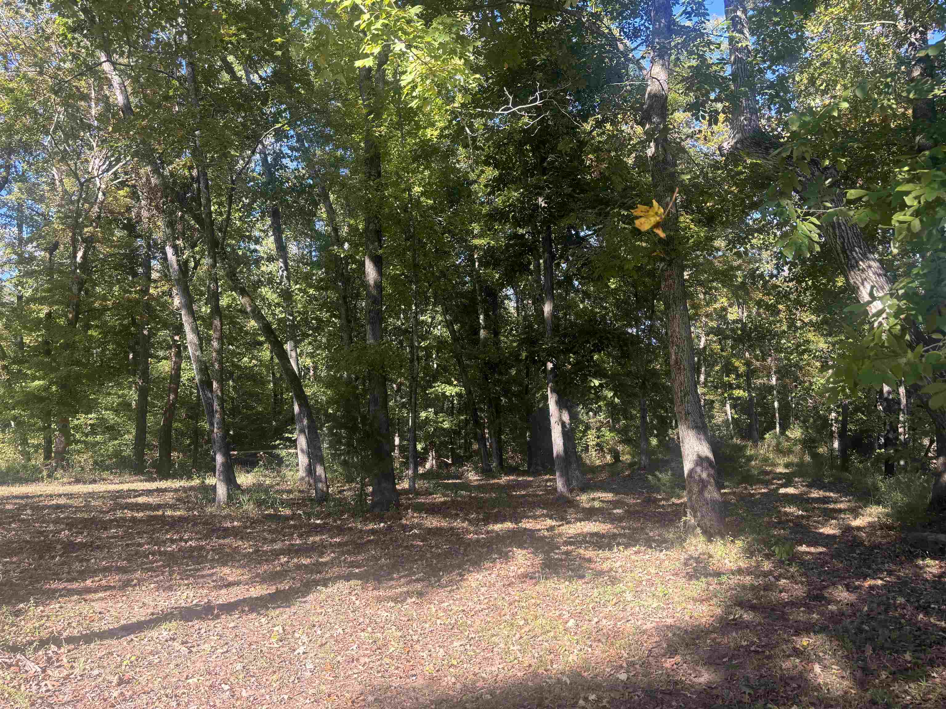 0 Mariah Ln Lot 100-101 Property Photo 7