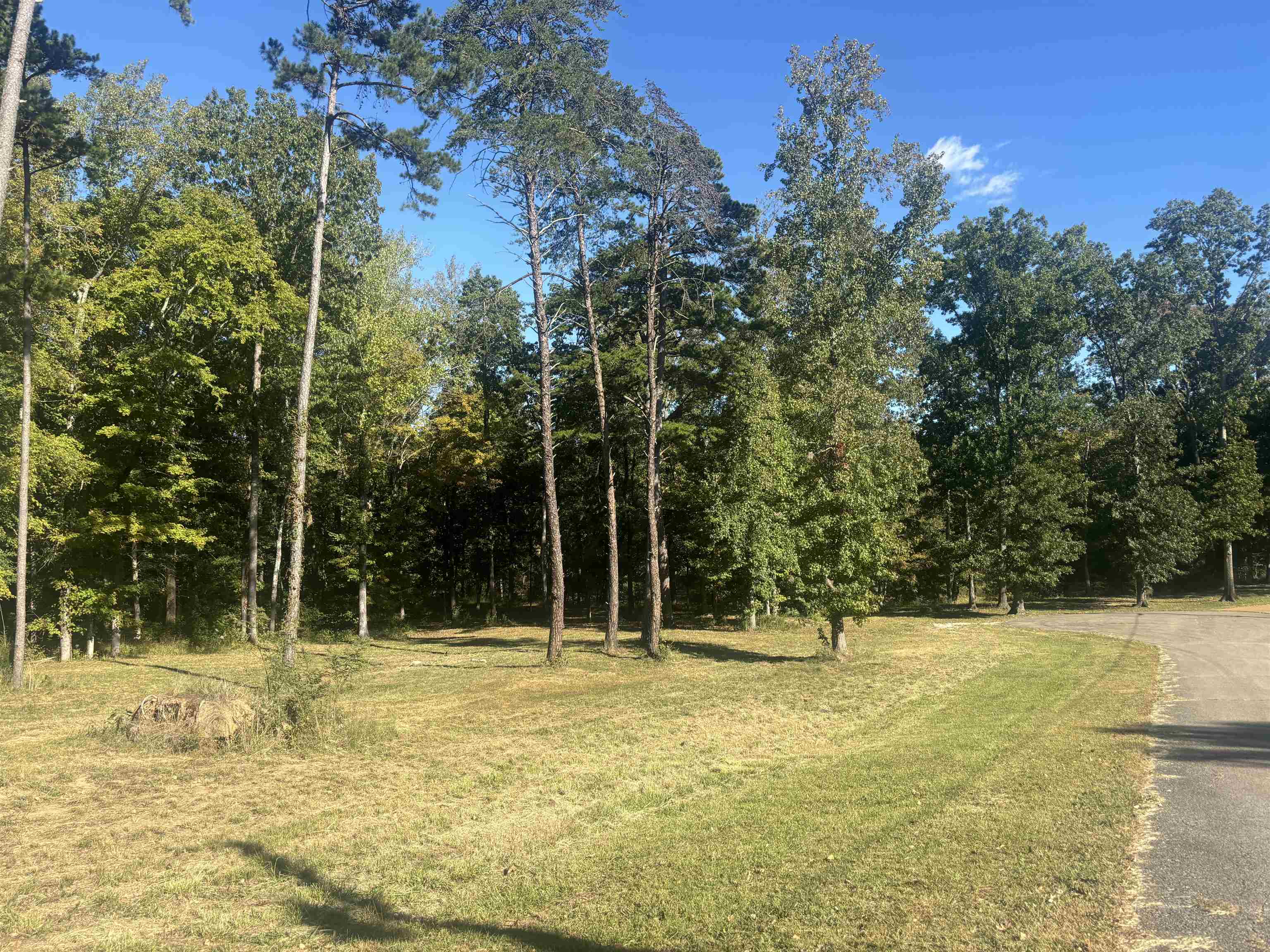 0 Mariah Ln Lot 100-101 Property Photo 11