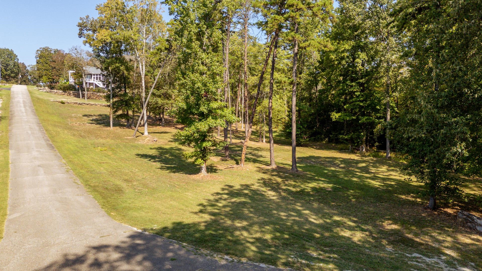 0 Mariah Ln Lot 100-101 Property Photo 38