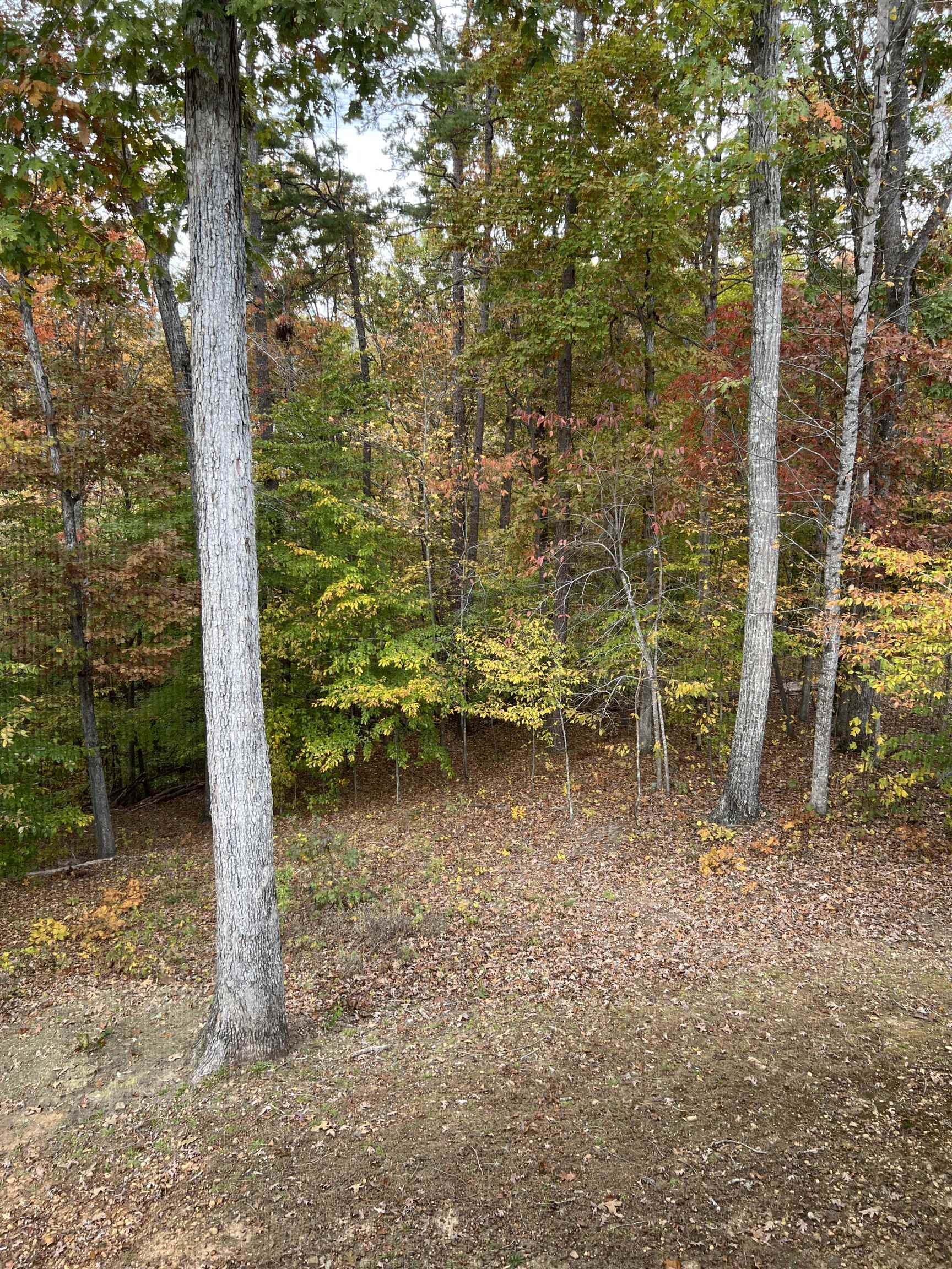 120 Chval Dr Property Photo 22