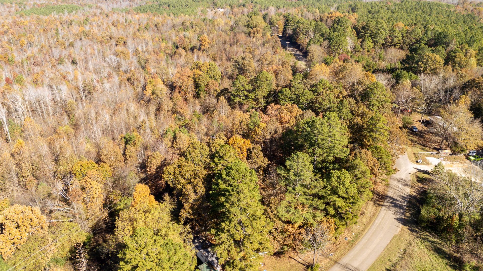 8069 Old Stage Rd Property Photo 2