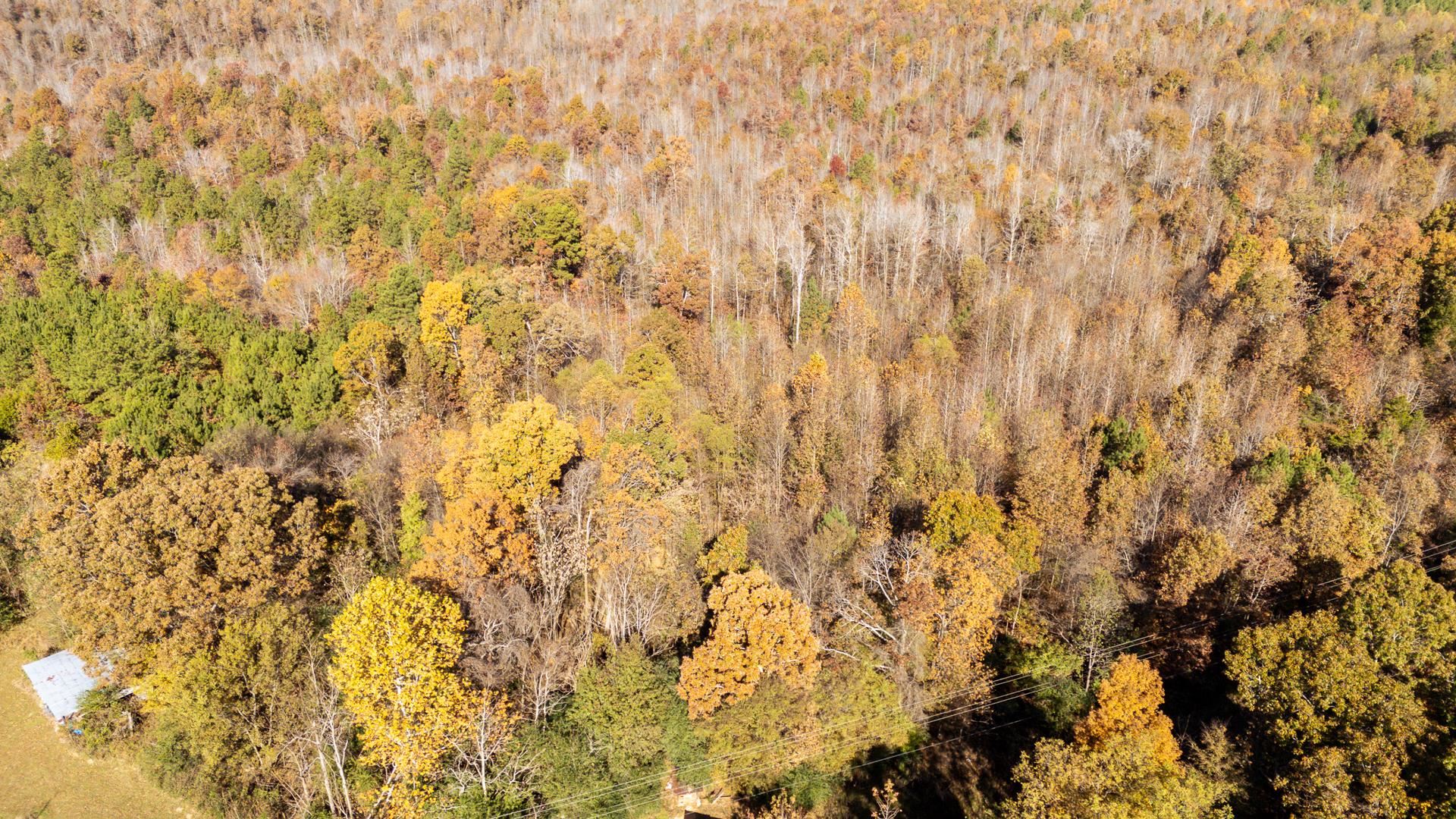 8069 Old Stage Rd Property Photo 3