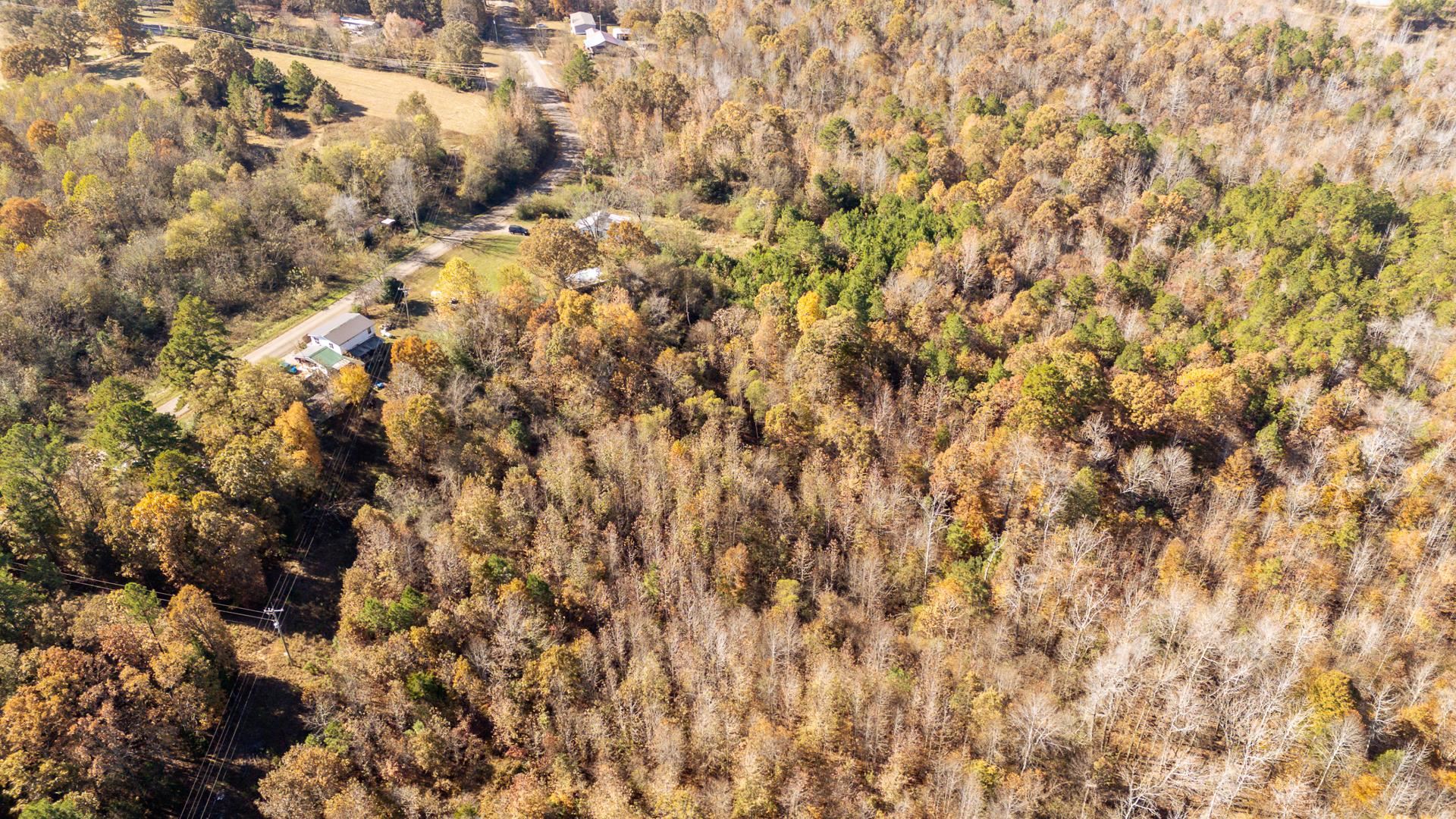8069 Old Stage Rd Property Photo 9
