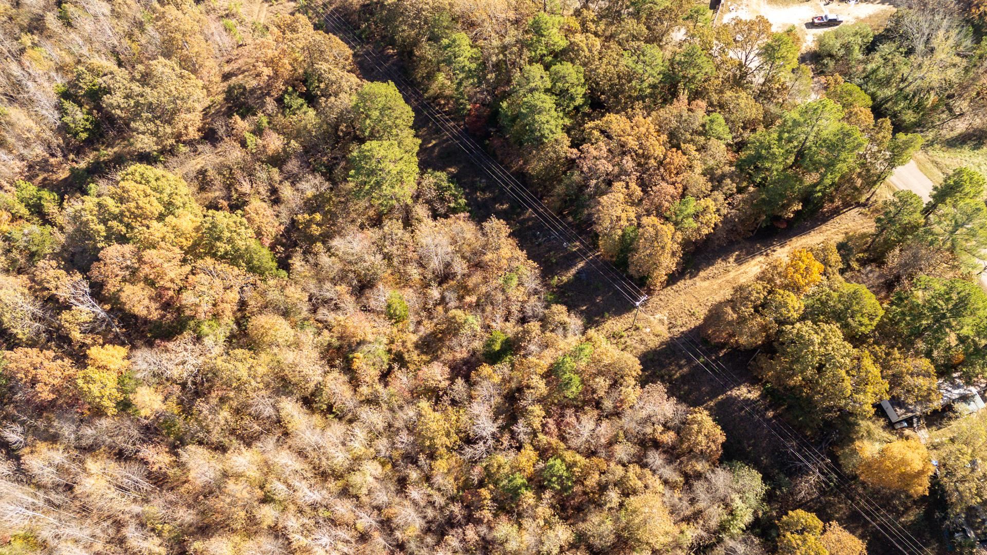 8069 Old Stage Rd Property Photo 14