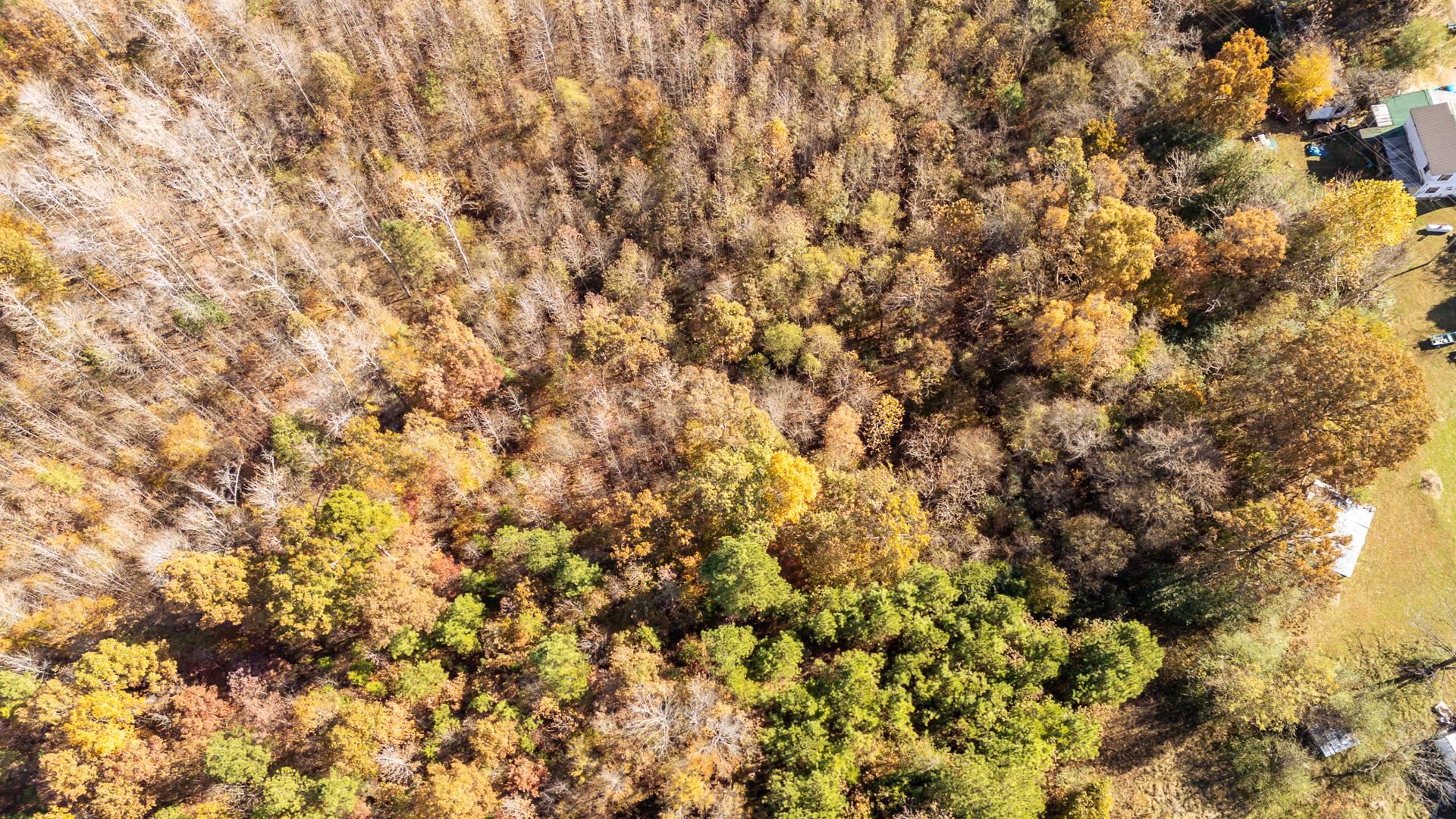 8069 Old Stage Rd Property Photo 16