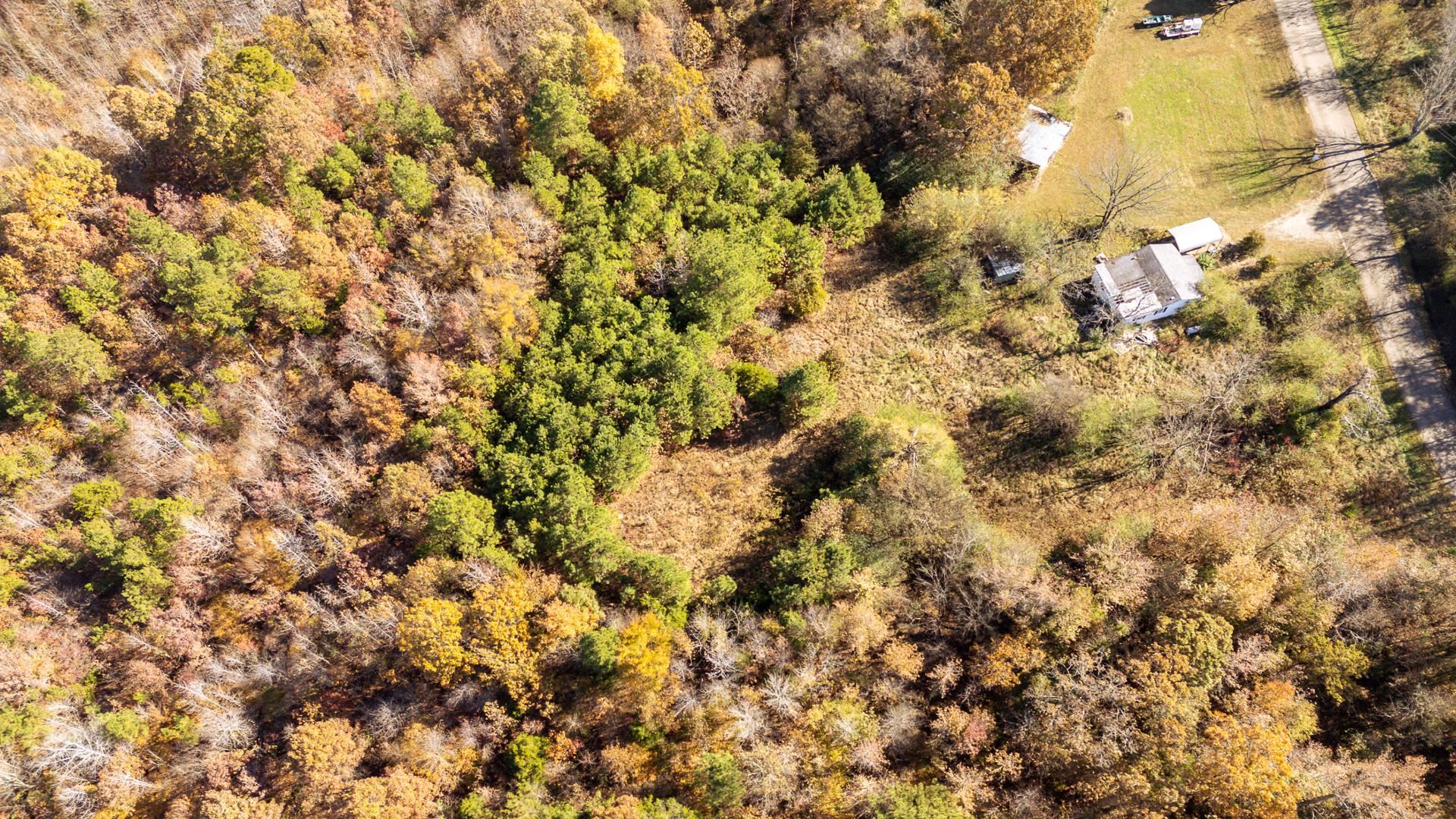 8069 Old Stage Rd Property Photo 17