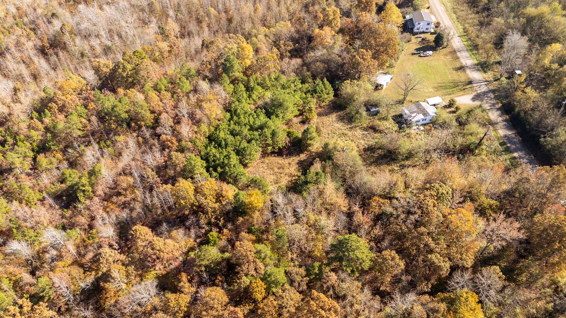 8069 Old Stage Rd Property Photo 18