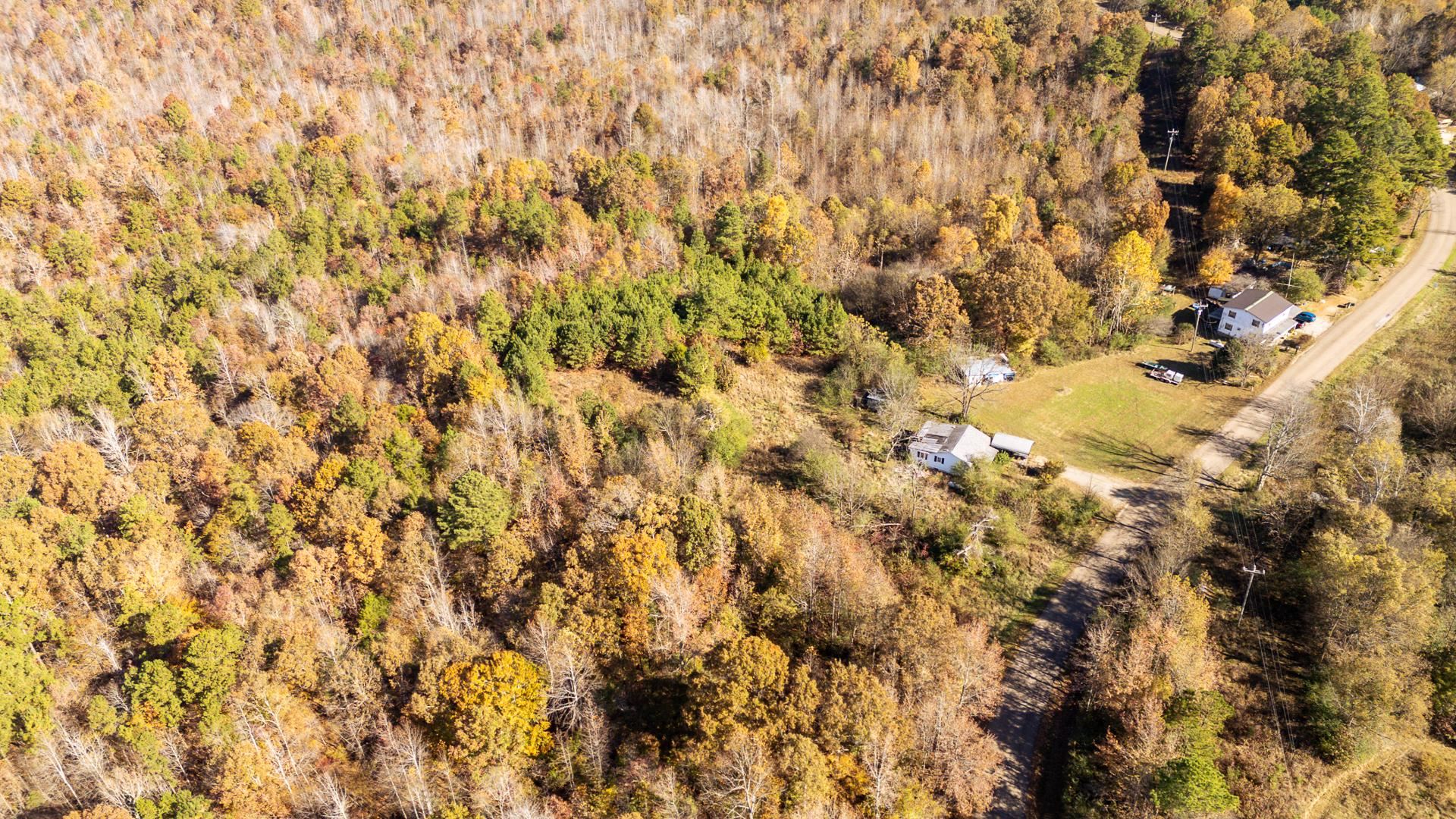 8069 Old Stage Rd Property Photo 20