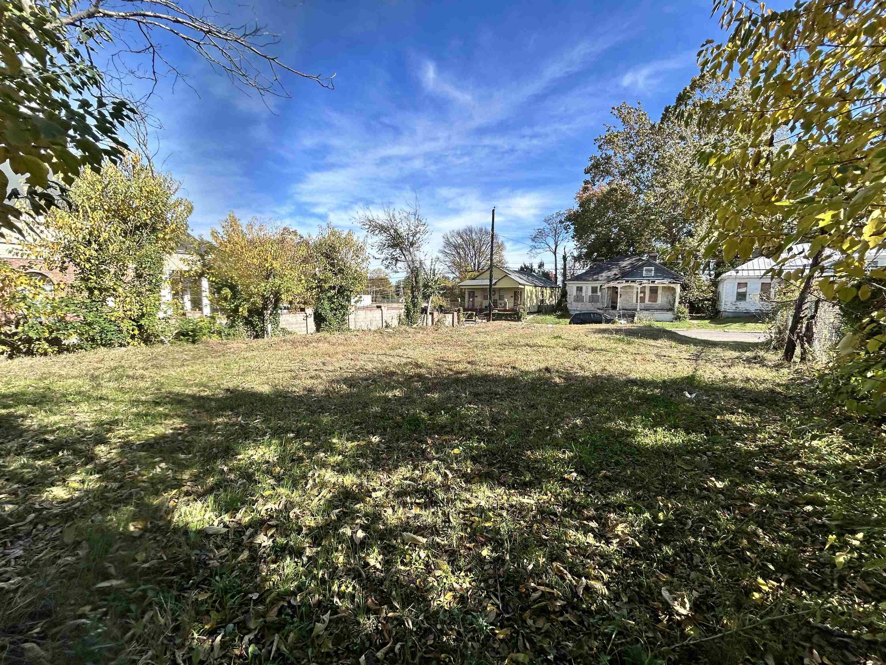 229 Leath St Property Photo 3
