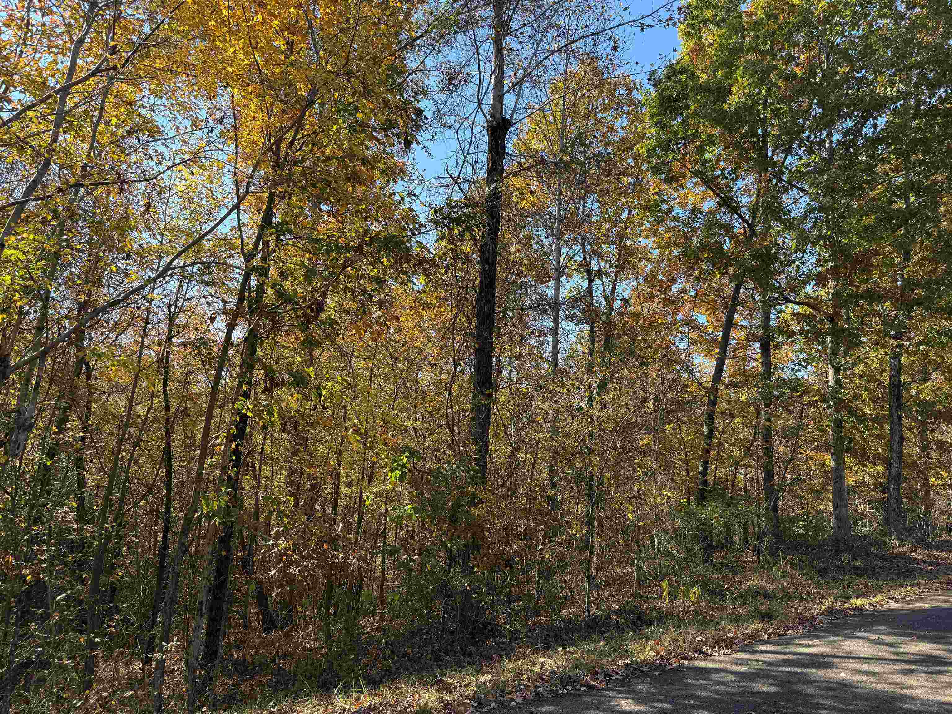 2 WOODS CLIFF LN Property Photo 1